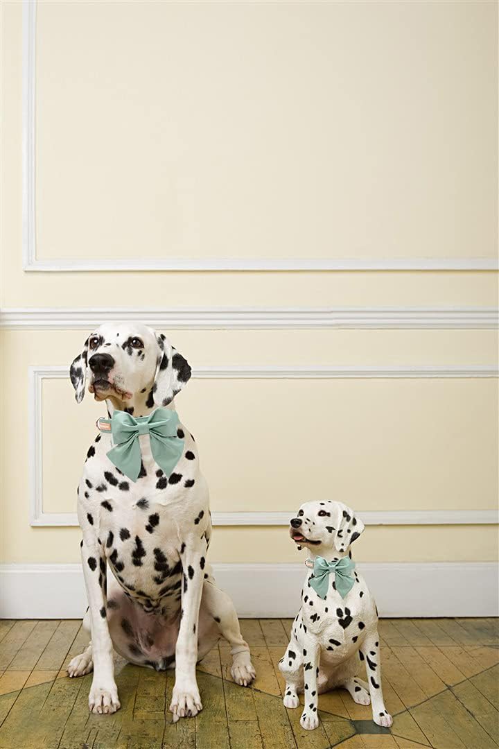 Thumbnail 3 de Unique style paws Hundehalsband aus Seide mit Schleife/Fliege, einstellbar – Größe XL, grün