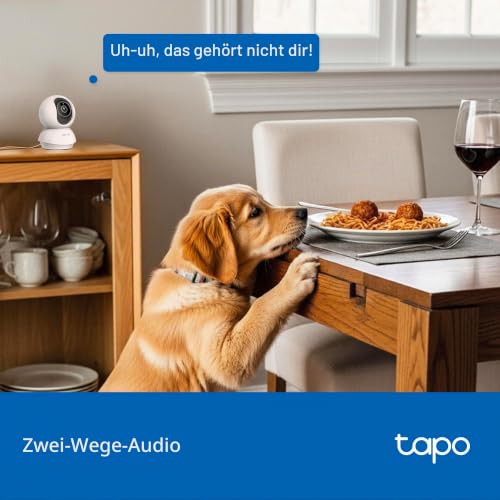 Thumbnail 8 de Tapo C250 4K-Innenkamera mit 360°-Sicht, lokaler KI und Bewegungsverfolgung