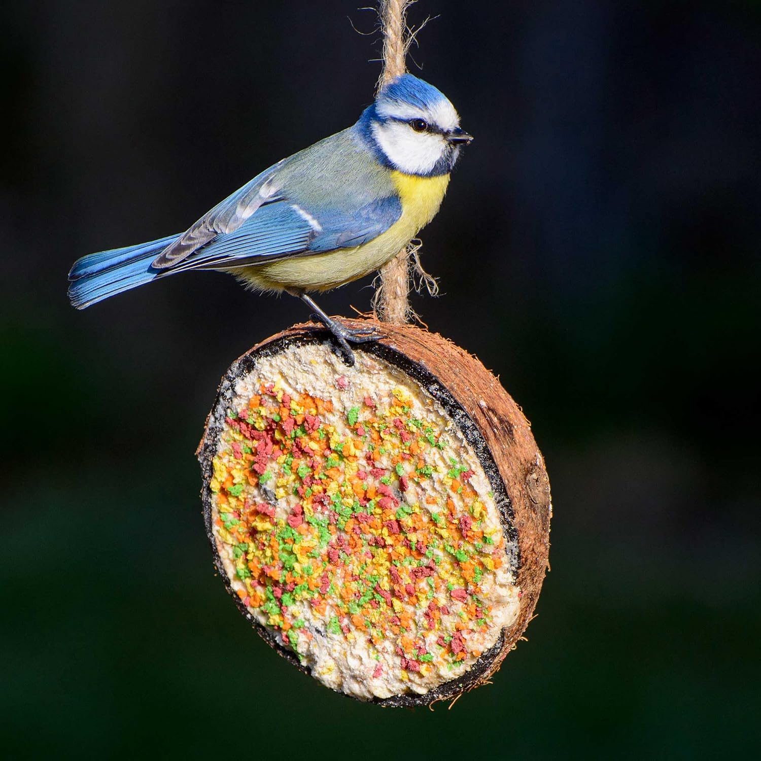 Thumbnail 5 de dobar® 10x gefüllte Kokosnusshälften 2 kg 🐦