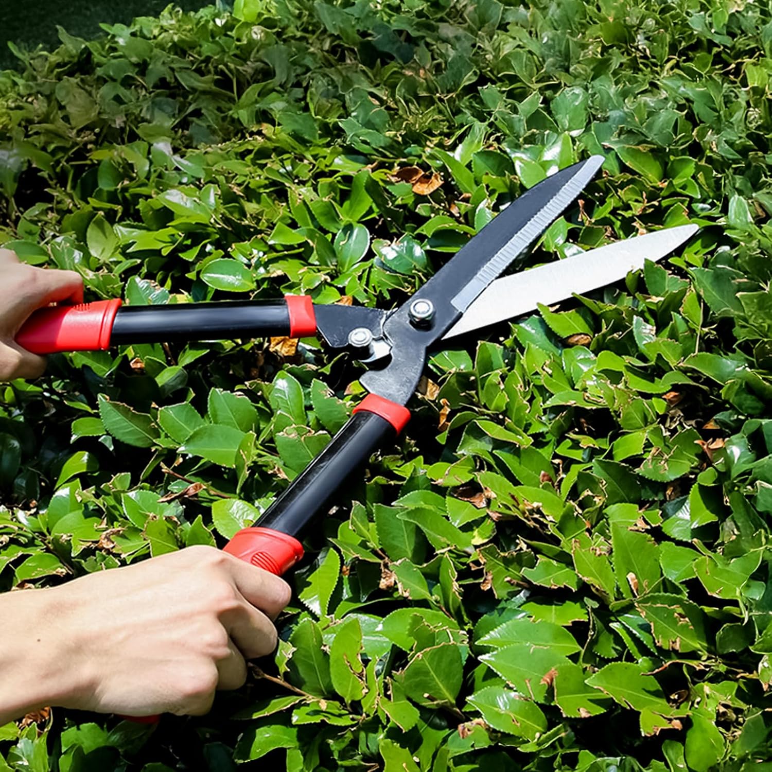 Thumbnail 4 de 10” Carbon steel hedge shears