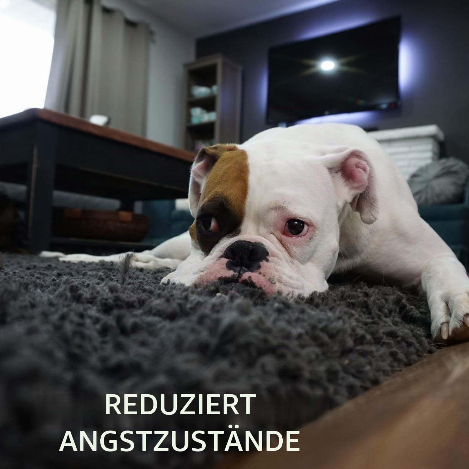 Thumbnail 6 de Toozey Welpenspielzeug 7 Stück