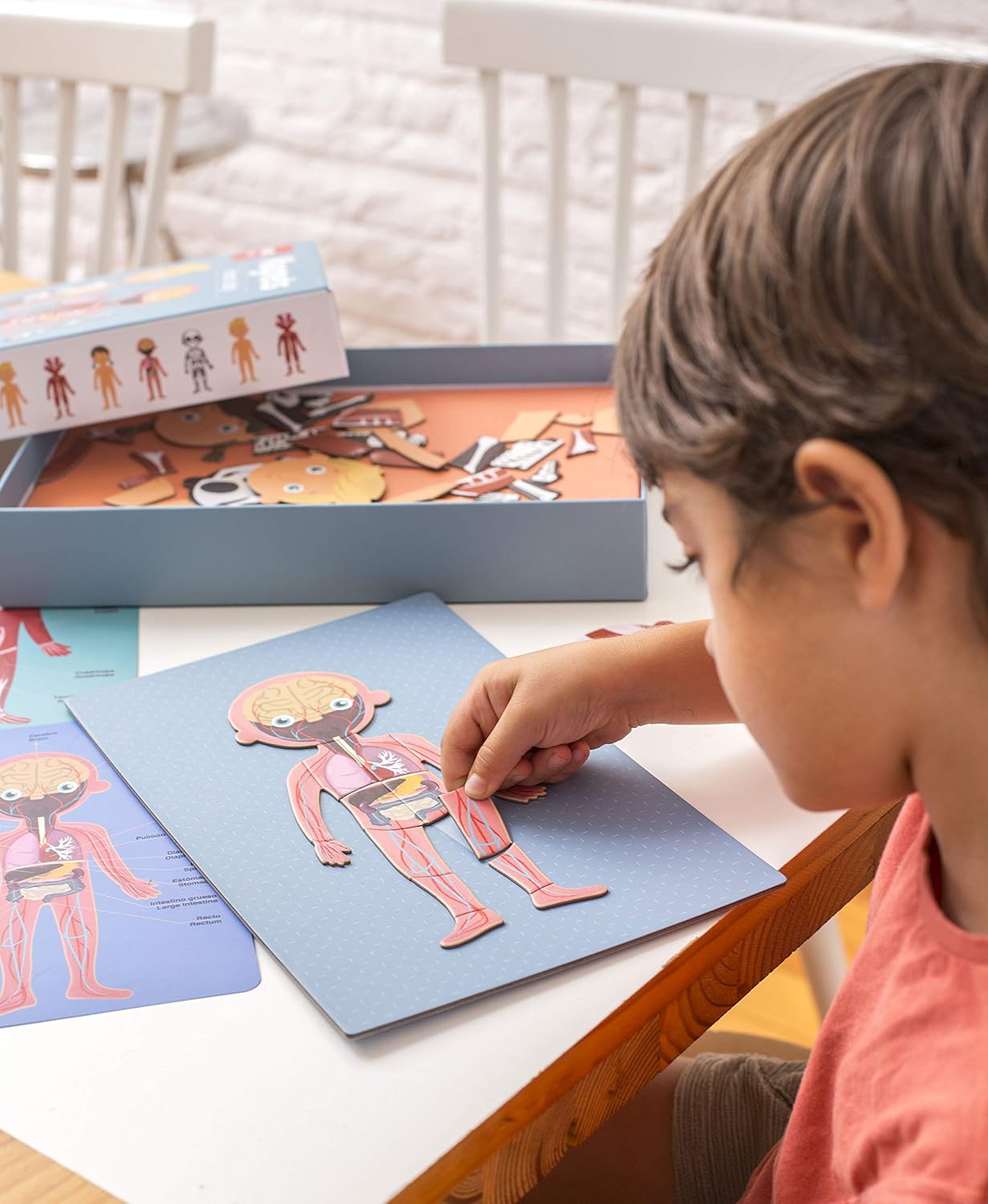Detalle 1 de APLI Kids 18531 Juego Magnético Educativo Cuerpo Humano