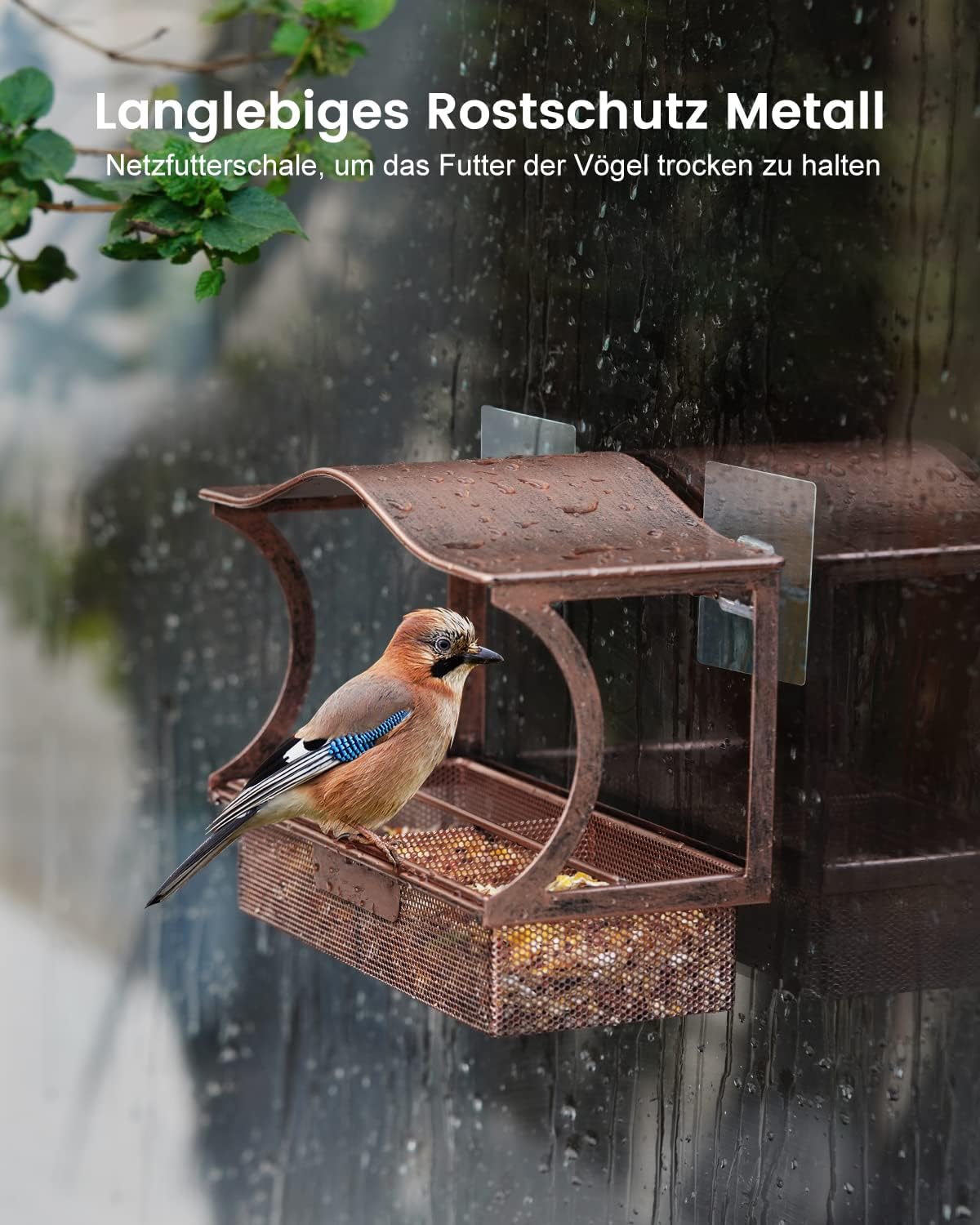 Detalle 1 de HouseSapp Fenster-Vogelfutterhaus 0,8 kg đŠ