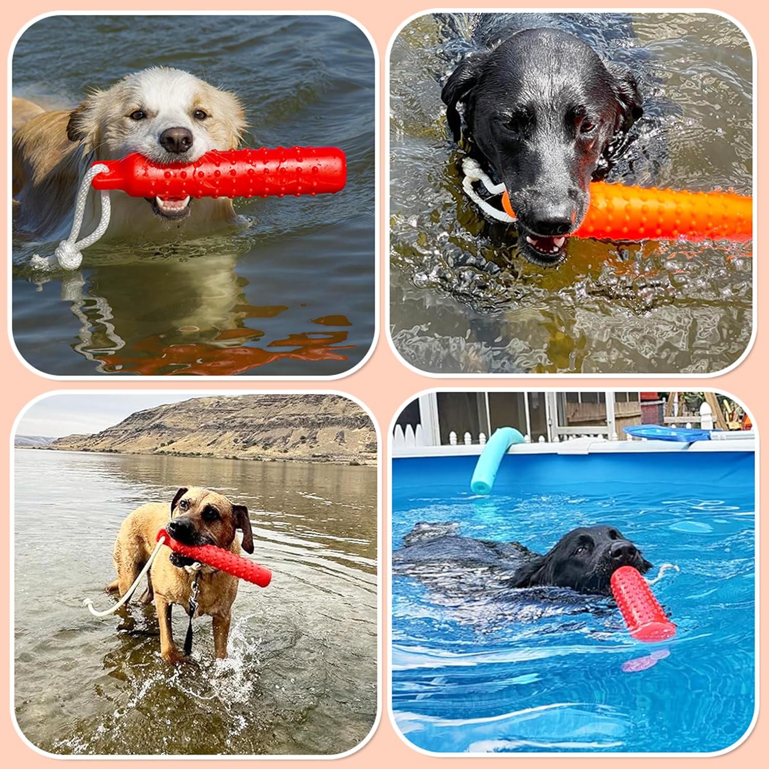 Thumbnail 6 de Segzwlor 犬用フロートトイ|水陸両用・ロープ付きフェッチ玩具、27.9 cm