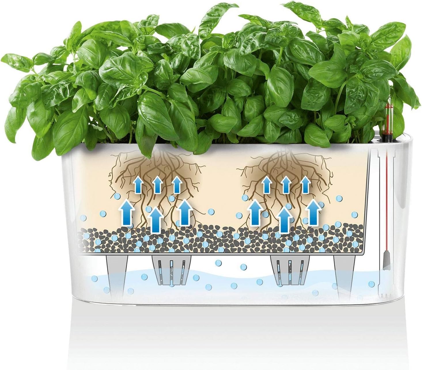 Thumbnail 6 de LECHUZA DELTA 20 bianco lucido 15560