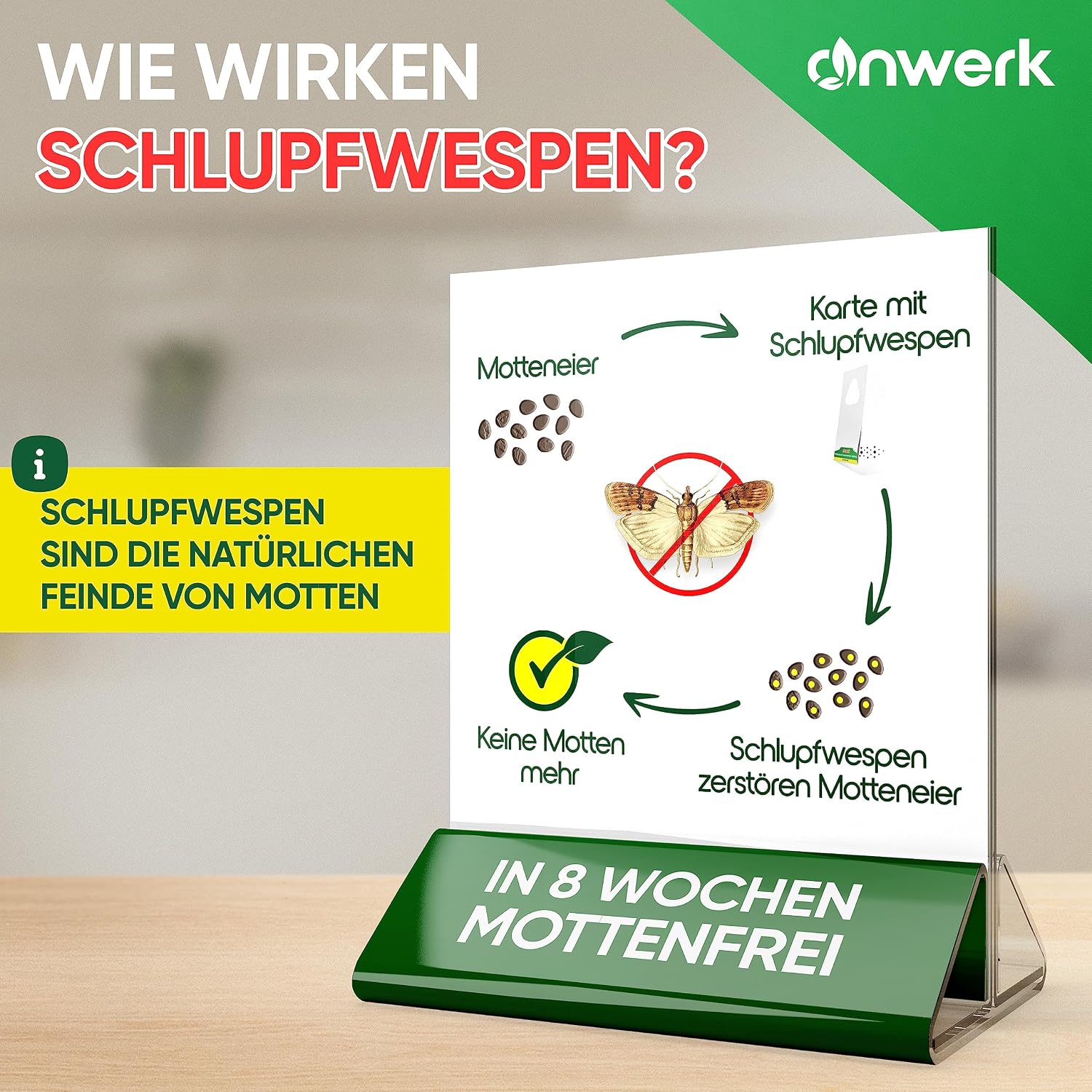 Detalle de anwerk Schlupfwespen gegen Lebensmittelmotten – 12 Karten (4 Lieferungen)
