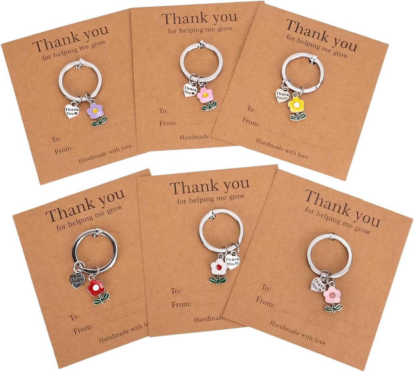 DINSAGE Thank You Teacher Gifts for Women – 6 Pack Student Growth Themed Keyrings