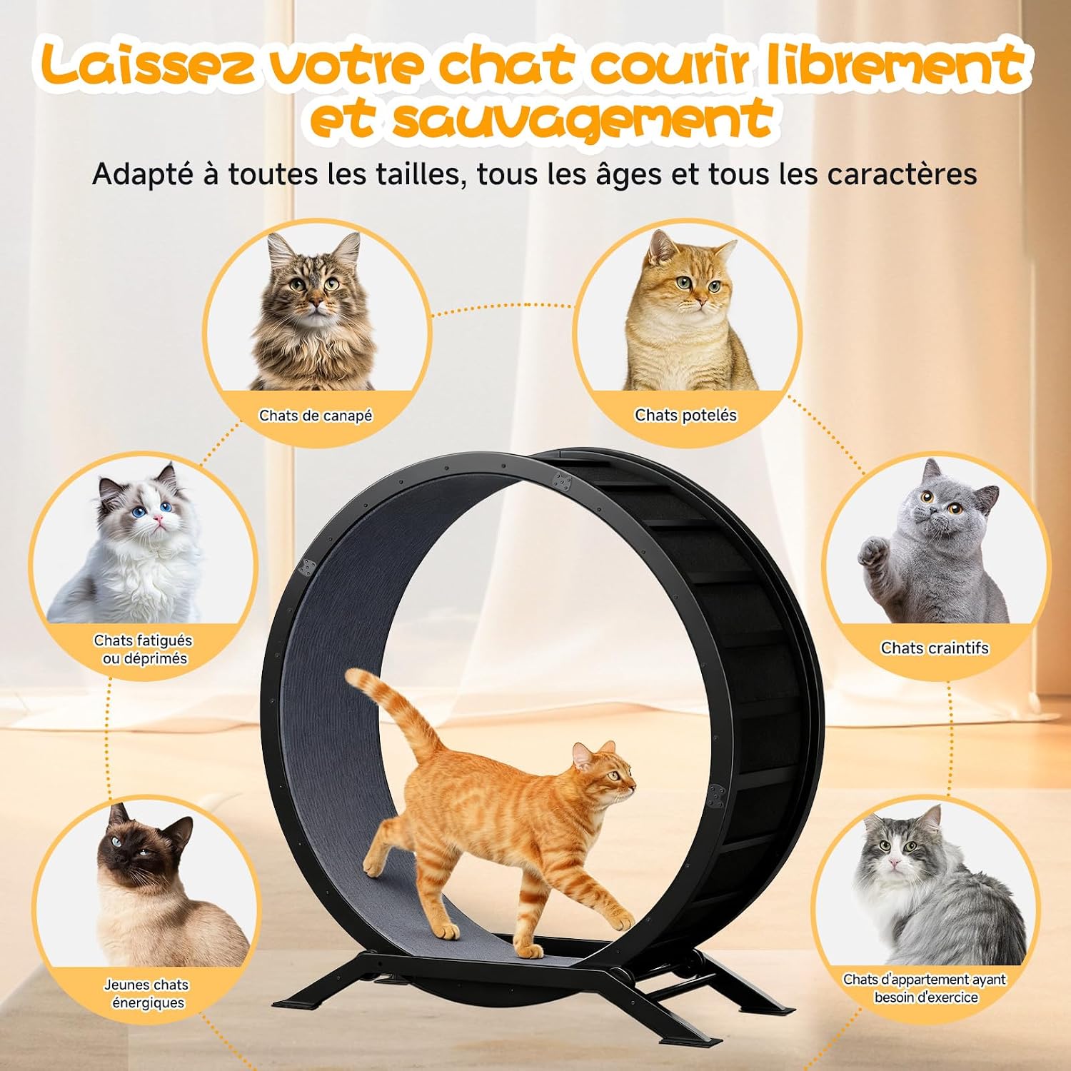 Detalle de GTPLAYER Roue pour Chat XL 100 cm – Roue d'exercice silencieuse avec tapis amovible