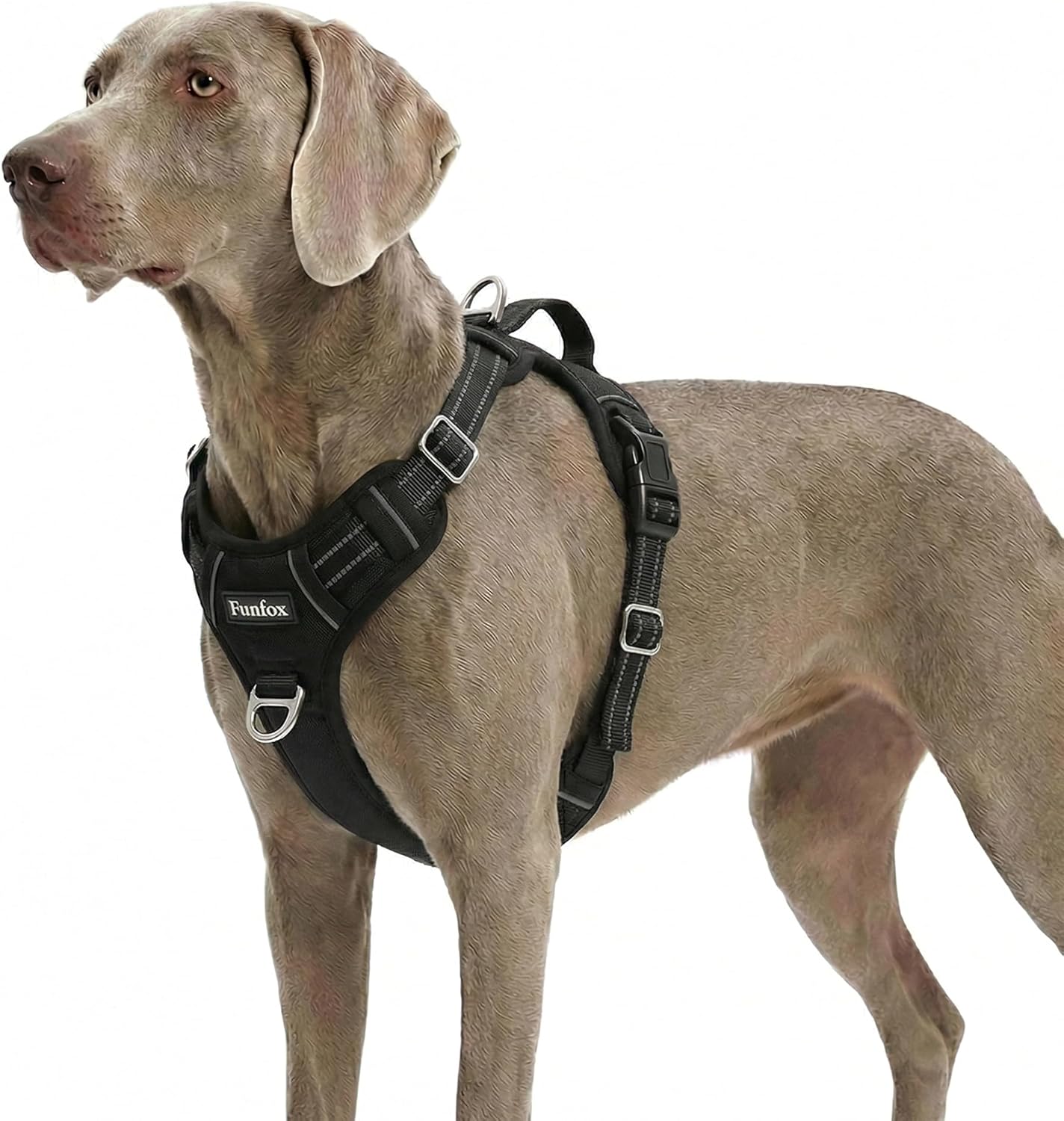 Detalle de Funfox Hundegeschirr Grosse Hunde XL