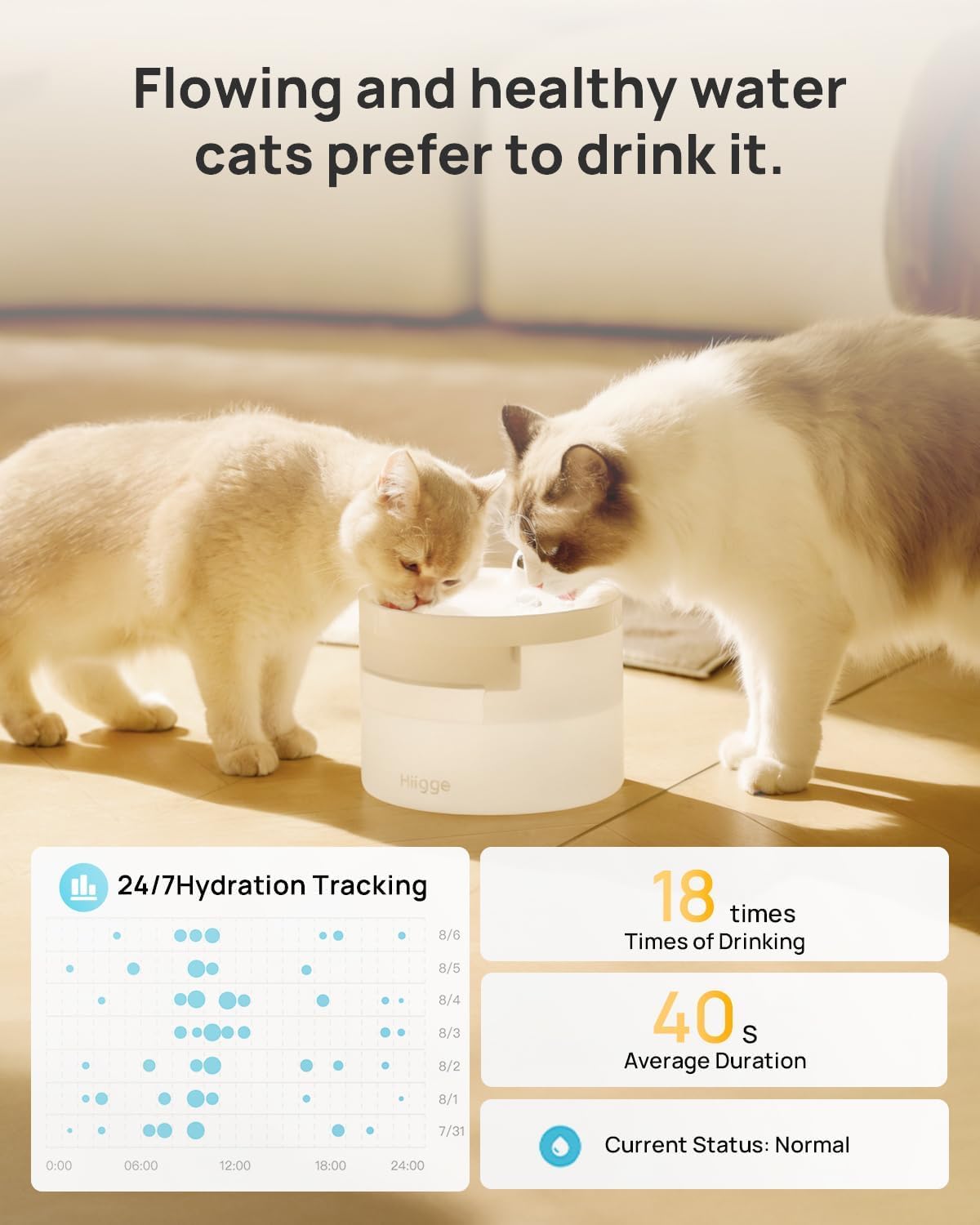 Detalle 2 de Hiigge wireless cat water fountain with app (2.3L, 5-stage filter, motion sensor, up to 96 days) – White