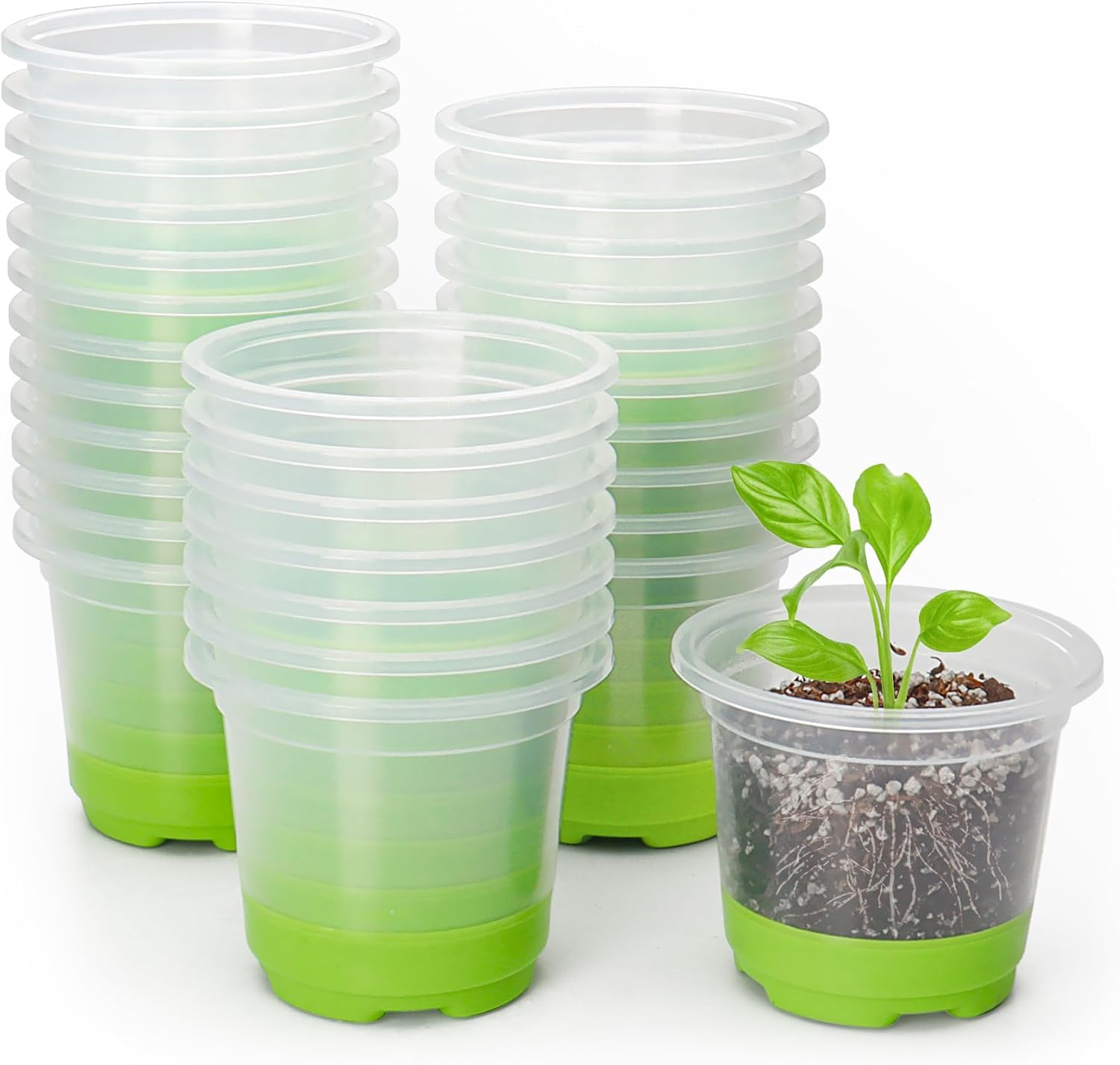 Detalle de MIXC 4-Inch Nursery Pots, 30-Pack, with Clear Sides and Silicone Bases