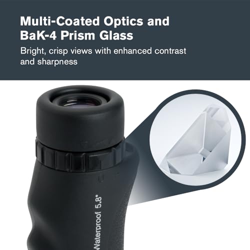 Detalle 1 de Celestron 71210 Nature DX monocolo 10x25 nero 🔭