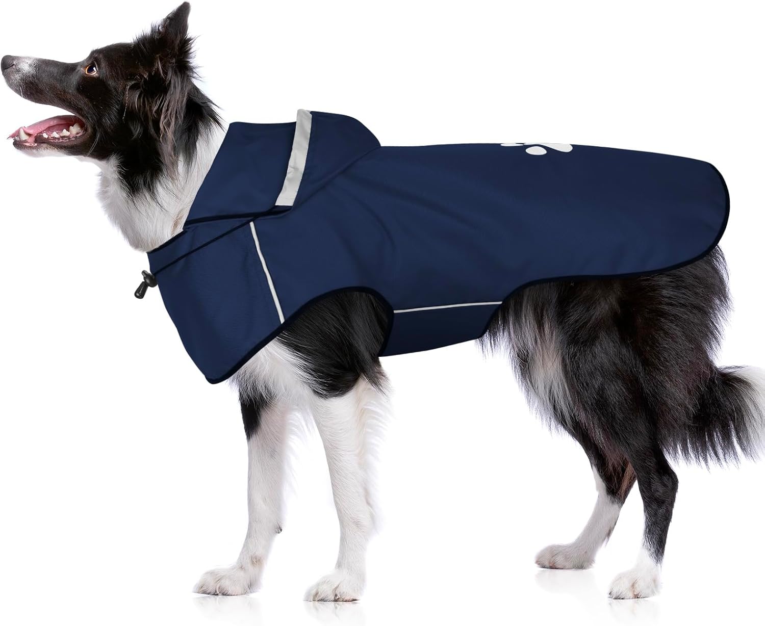 Detalle de BiPawTi Dog Waterproof Coat for Large Dogs (Blue, Size L) with Reflective Hood