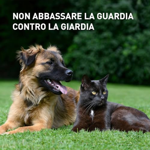 Thumbnail 6 de Panacur Compresse 250mg – Vermifugo per cani e gatti, agisce contro Giardia e vermi intestinali