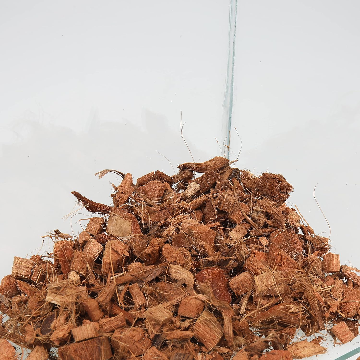 Thumbnail 2 de JBL TerraCoco Bodengrund mit Kokoschips für Terrarien – 5 l