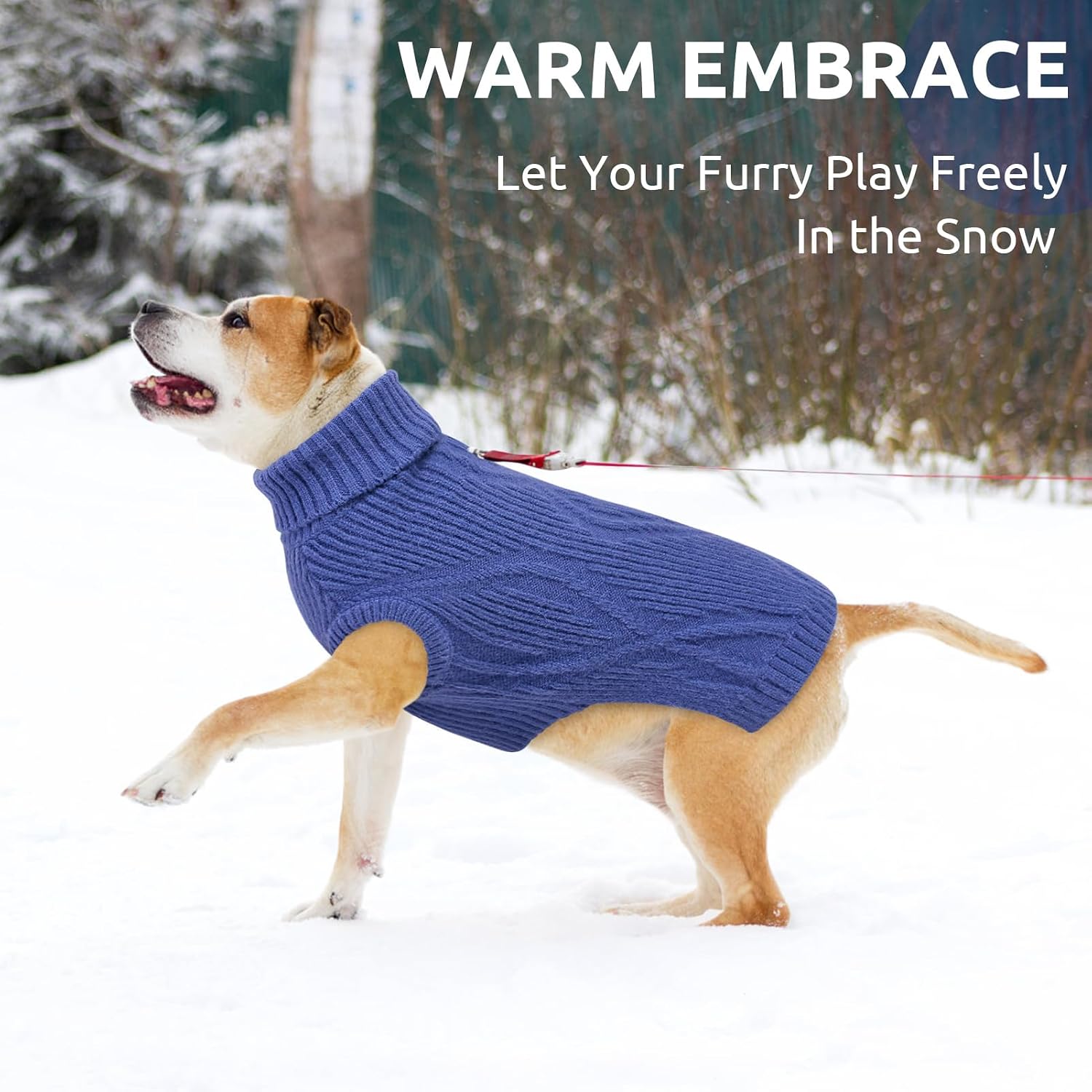 Detalle 2 de Queenmore Katzenpullover & Hundepullover mit Stehkragen – warm, weich und mit Rückenöffnung (Blau, XS)