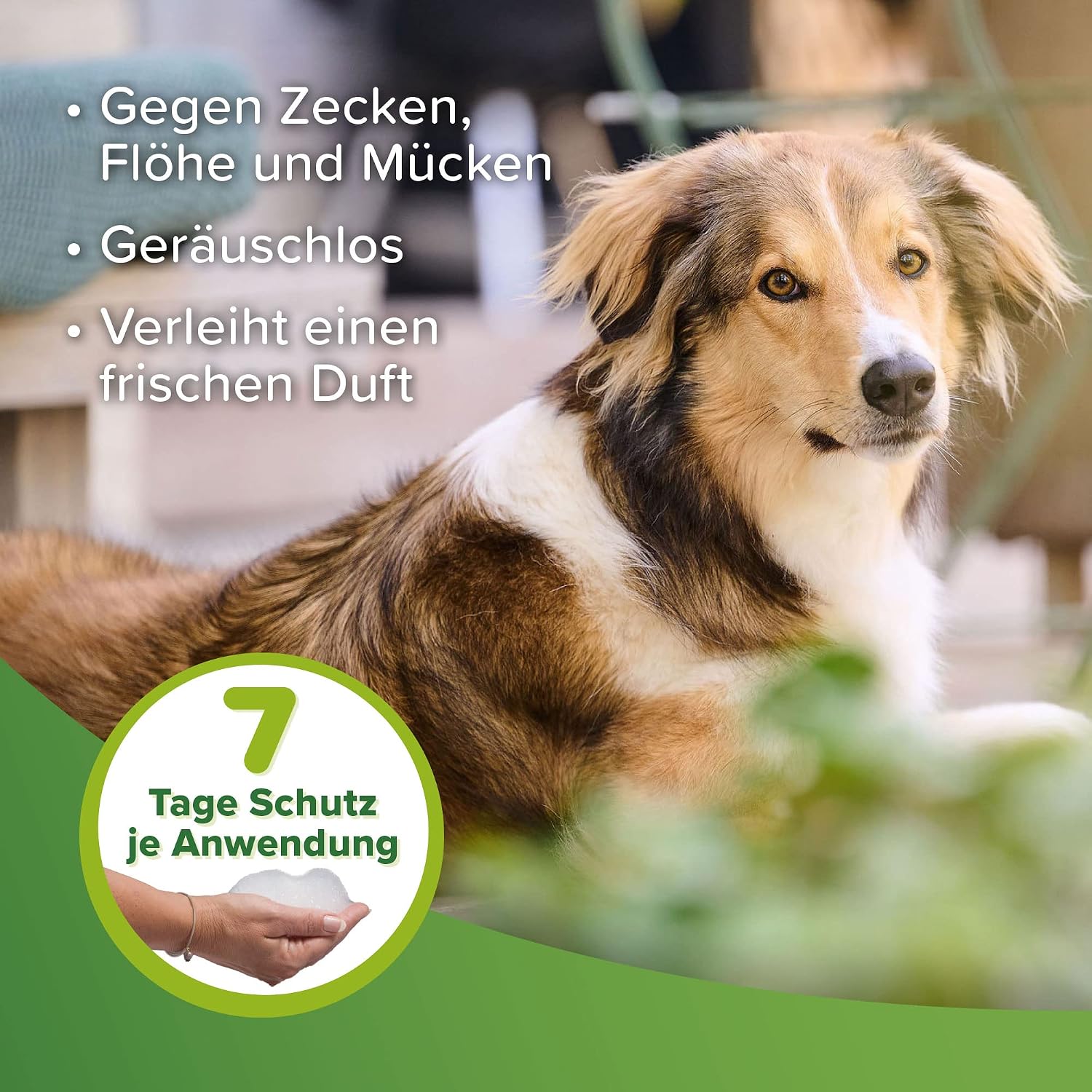 Detalle de Beaphar Zecken- und Flohschutz Shampoo, 250 ml – zuverlässiger Schutz für Hund und Katze