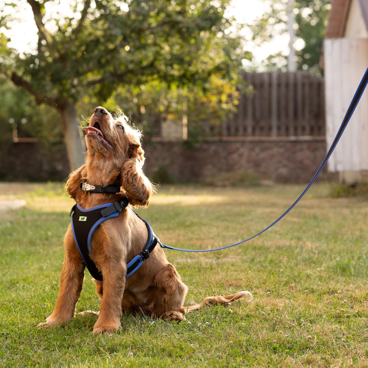 Thumbnail 1 de Ferplast ERGOCOMFORT Medium Dog Harness – Adjustable, Padded and Quick Release (Red)