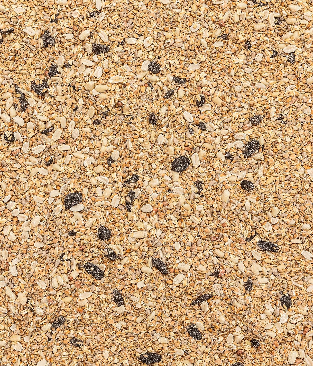 Thumbnail 6 de Dehner Natura Premium Wildvogelfutter – Ganzjahresfutter, schalenfrei, 10 kg