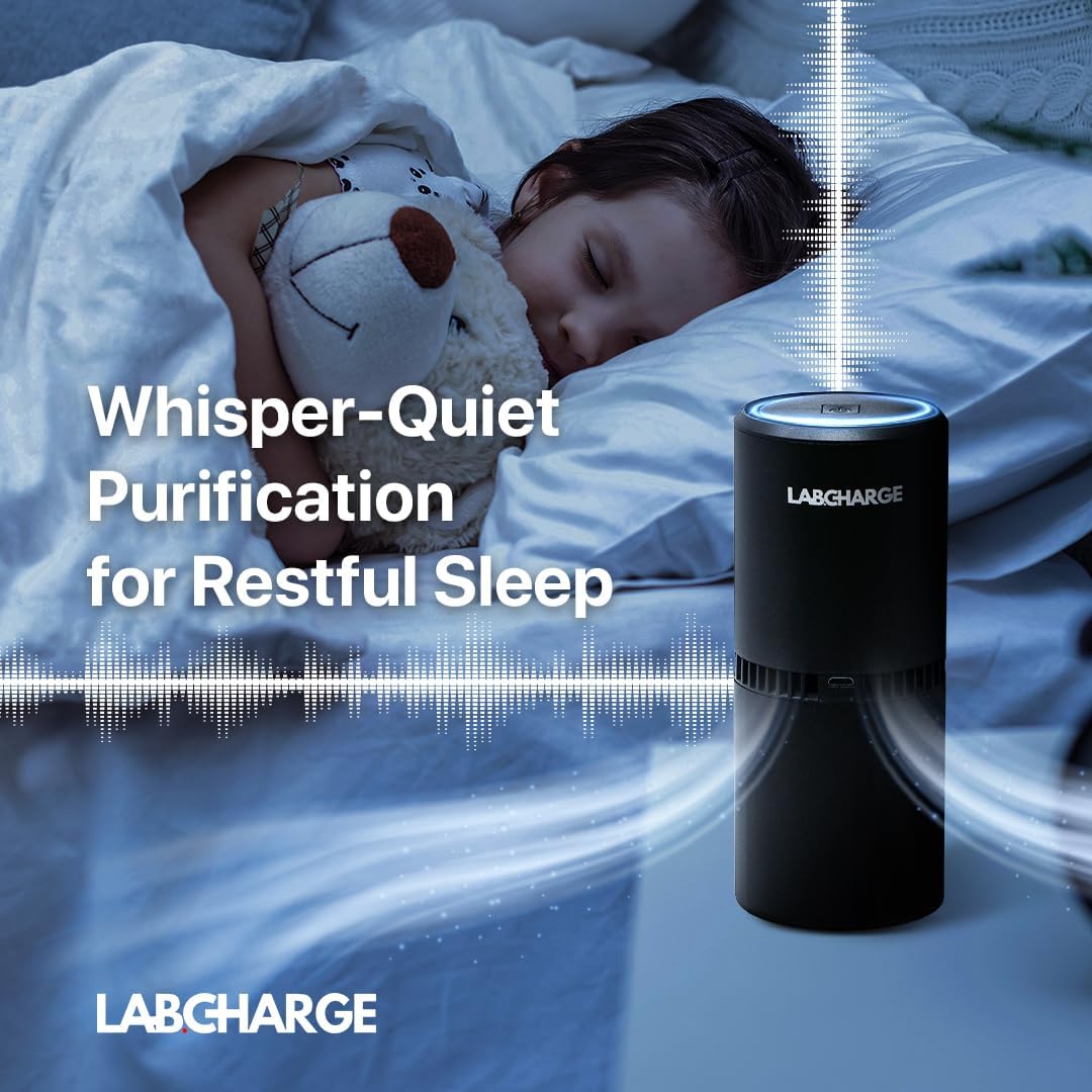 Detalle 2 de LabCharge Small Ionic Air Purifier 250 Sq Ft