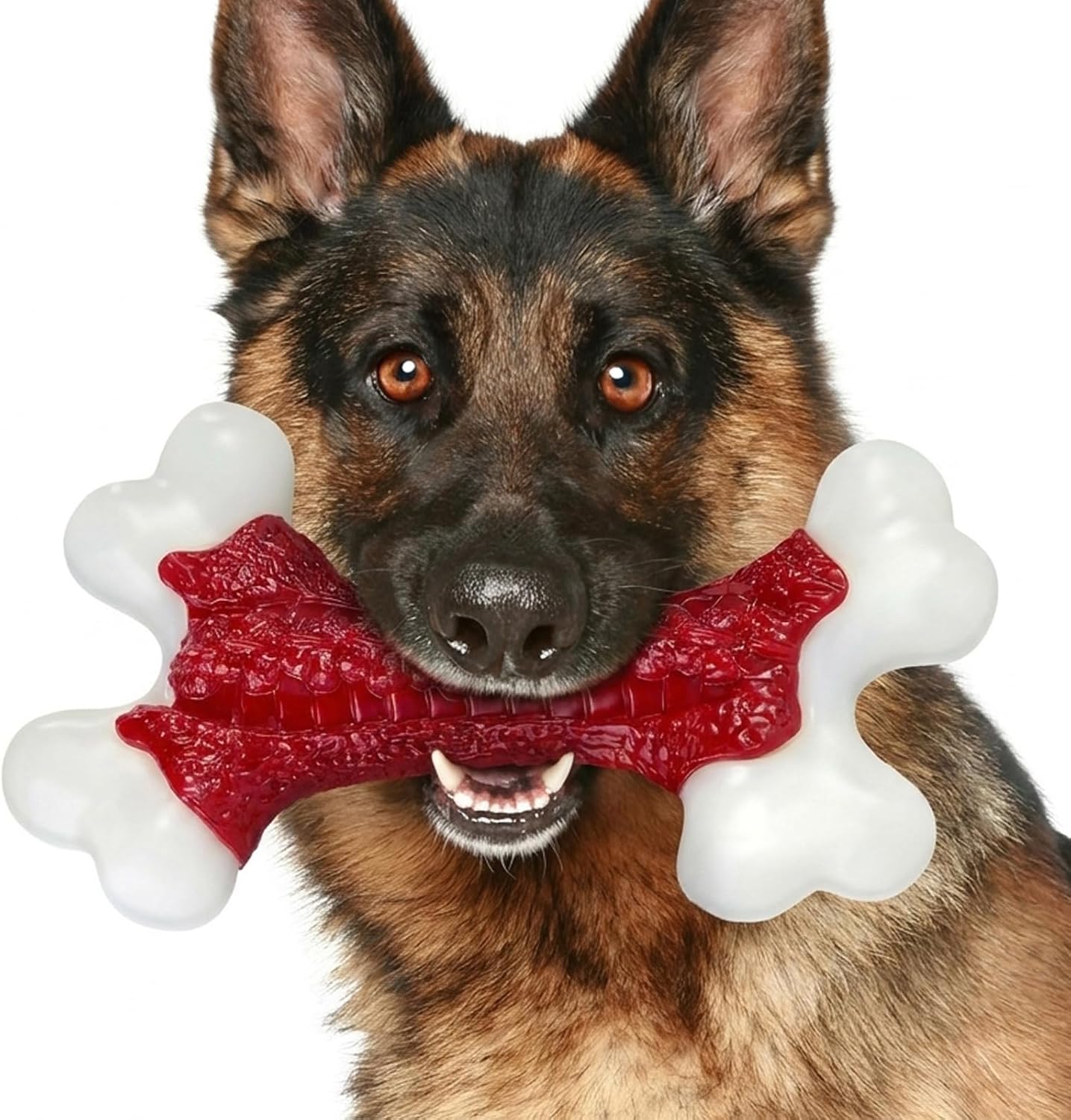 Detalle de ChienBox Nylon Bone Toy beef flavour for large dogs