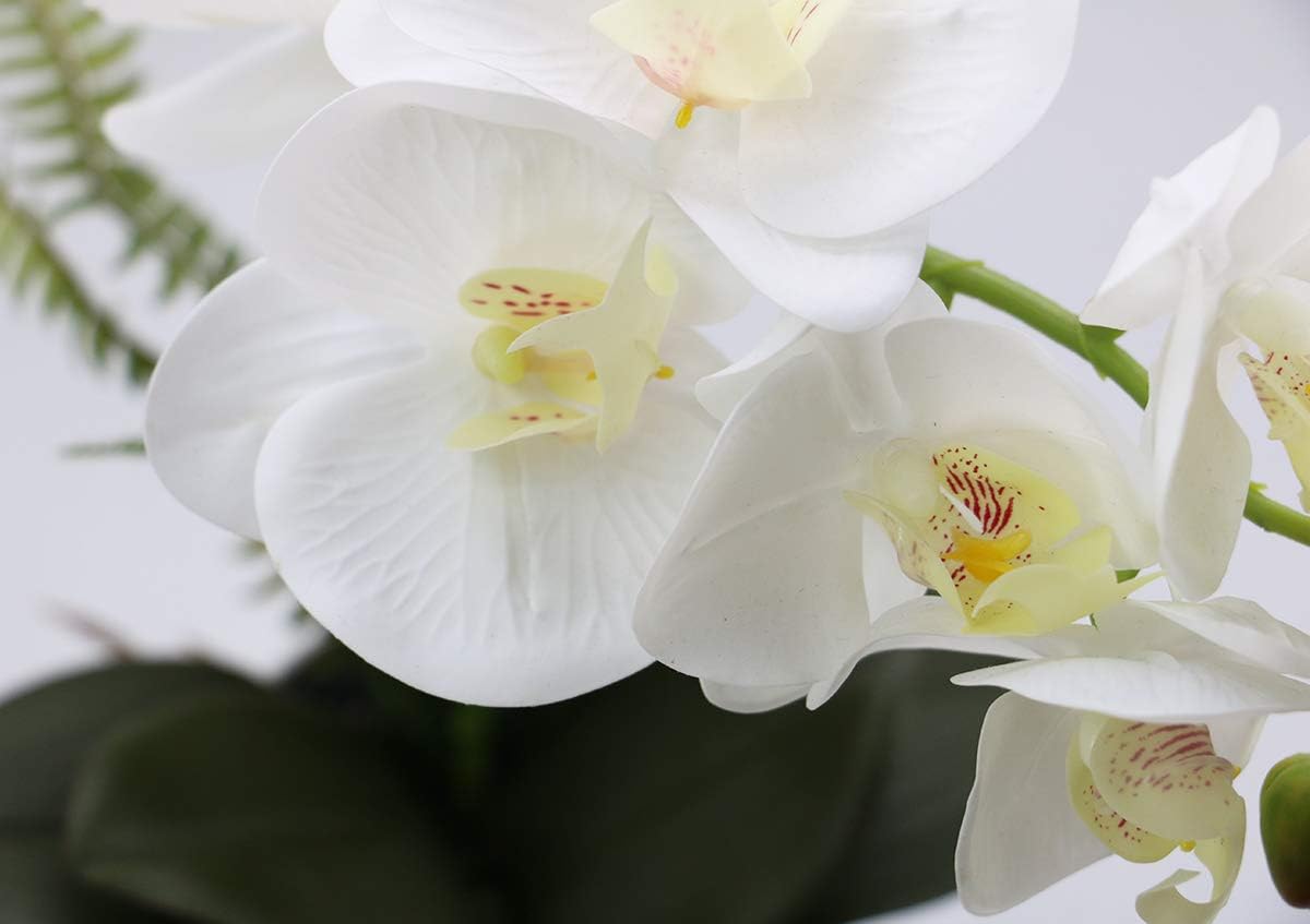 Detalle de Olrla IU-2 kunstorchidee Phalaenopsis, 41 cm, witte bloemen en onderhoudsarm