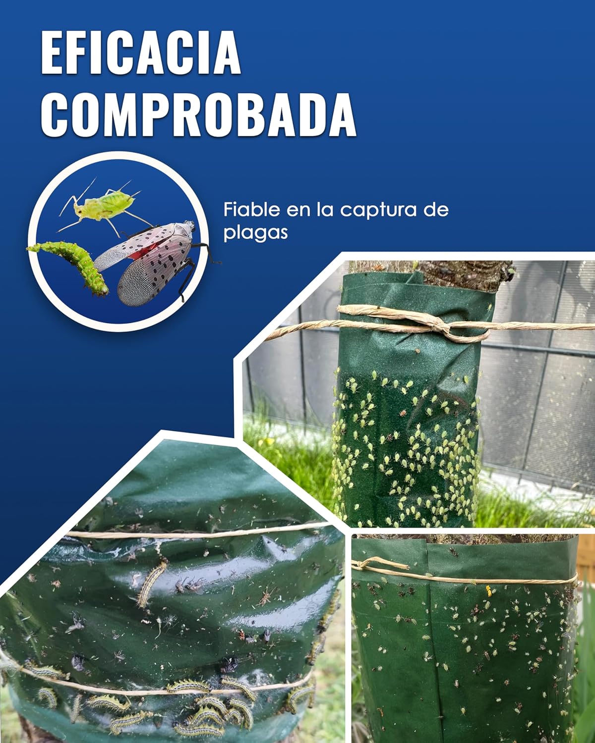Thumbnail 6 de PIC Pegamento protector de árbol 10 m