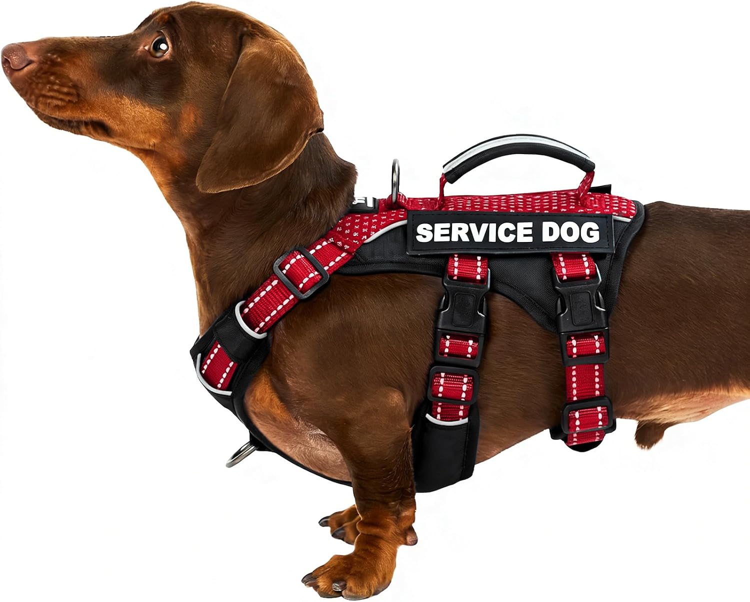 Thumbnail 6 de Huntboo Dog Harness, M