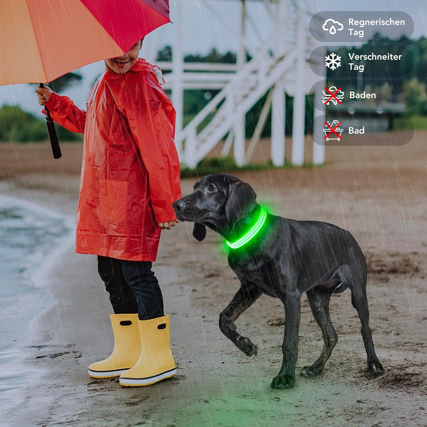 Thumbnail 5 de PZRLit LED Hundehalsband – Leuchthalsband Hund Verstellbar, Reflektierendes & Wasserdichtes Hundehalsband, USB Aufladbares Sicherheitshalsband für Kleine Mittel Große Hunde, Halsbänder
PZRLit LED Hundehalsband – Leuchthalsband Hund V…