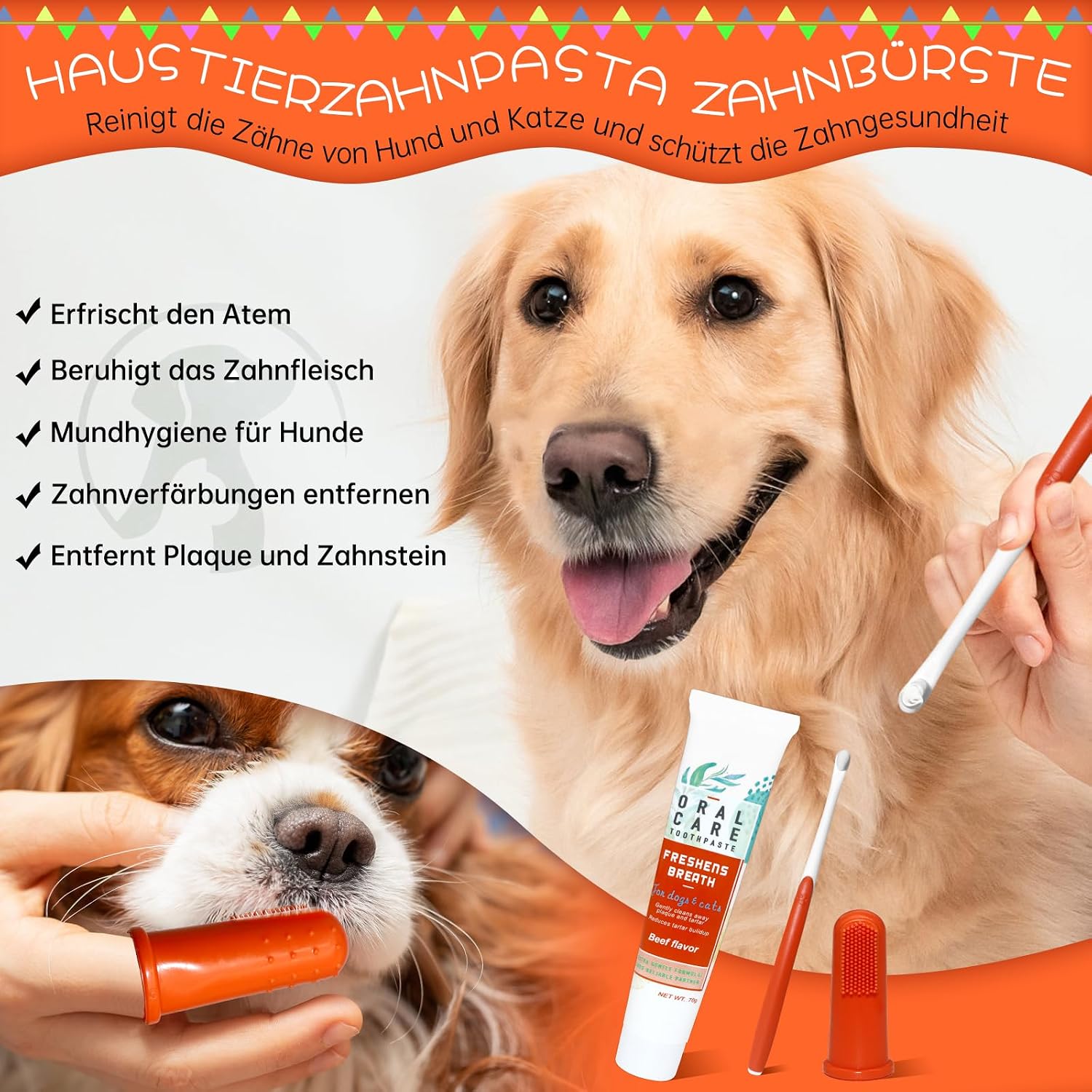 Detalle 2 de MEIEGOU Zahnpflege Hund Set