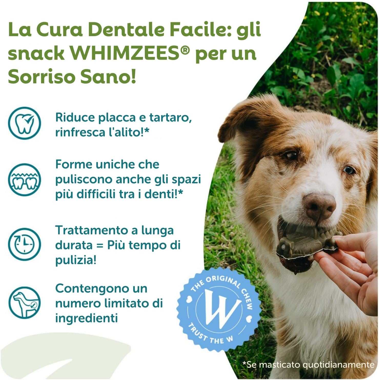 Thumbnail 1 de WHIMZEES Alligator S, 24 pezzi – Snack orale per cani di taglia piccola (S), Alligatore formato piccolissimo