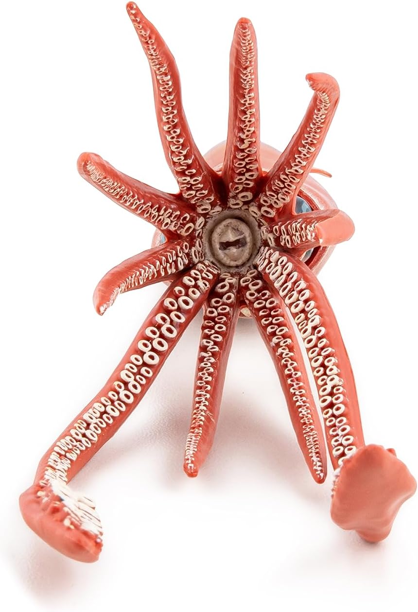 Thumbnail 4 de Papo Calamaro Gigante realistico (collezione Universo Marino) – statuetta da gioco educativo, 3 anni+