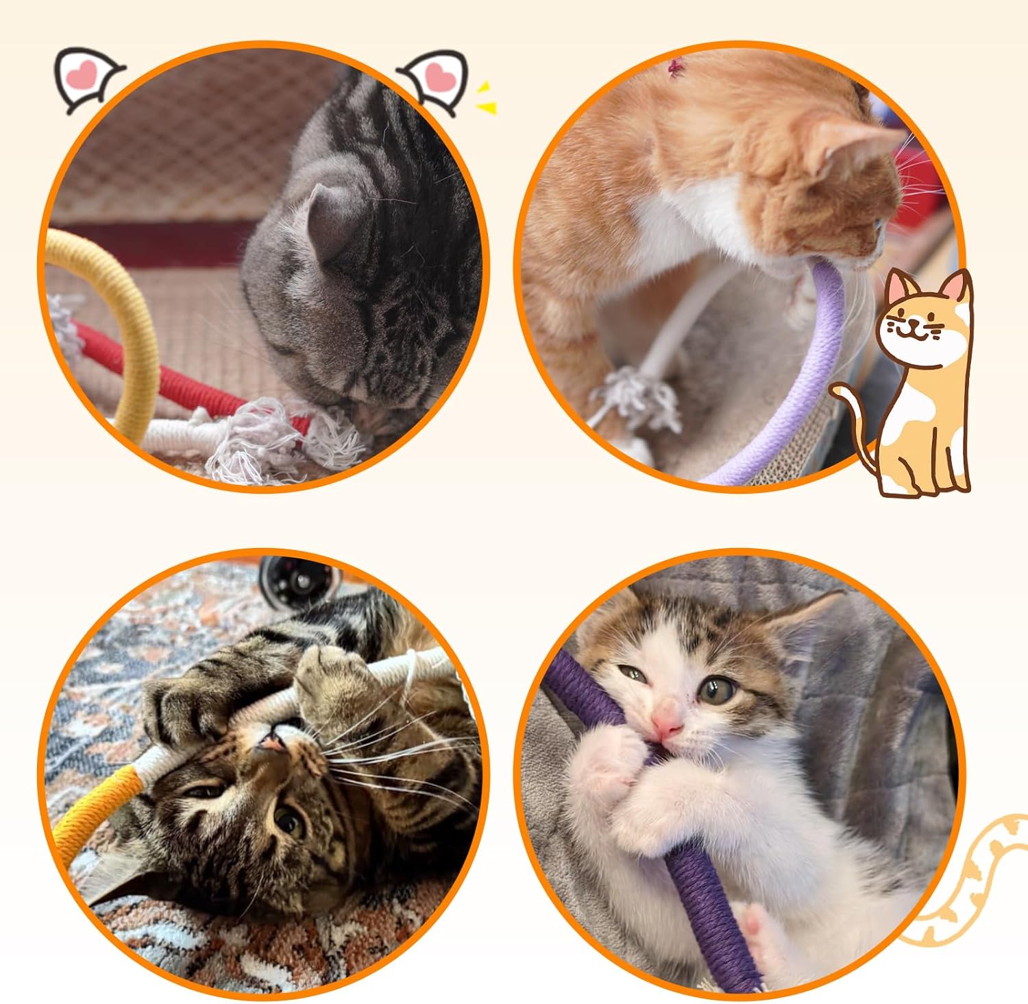 Thumbnail 6 de Nepfaivy Katzenspielzeug Kauspielzeug für Katzen – 6 Stück Interaktives Katzenminze Kauspielzeug zur Zahnpflege und gegen Mundgeruch