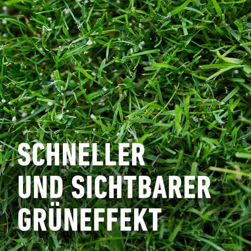 Thumbnail 6 de COMPO Rasendünger mit 3 Monaten Langzeitwirkung – Premium Langzeitdünger für 800 m²