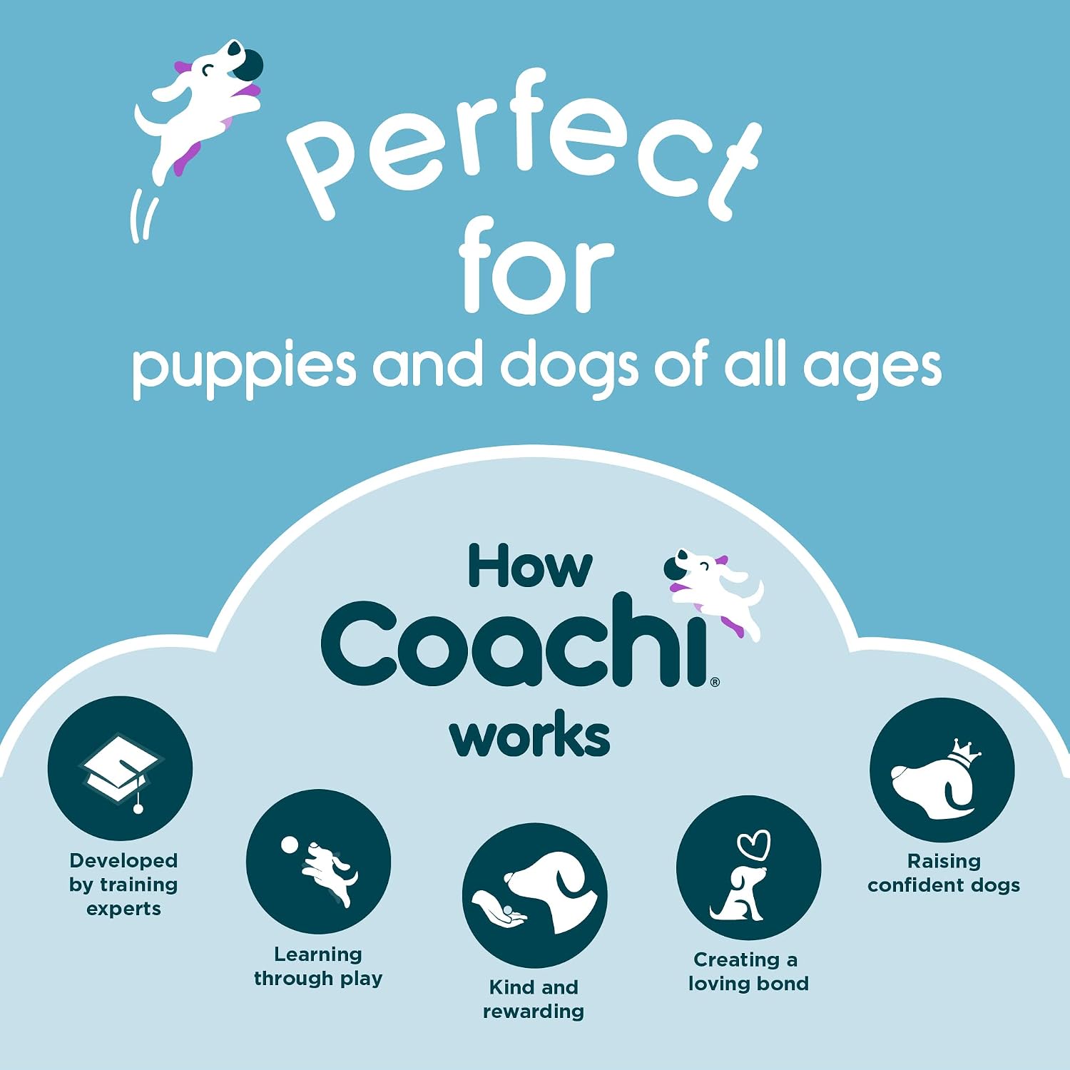 Detalle de Coachi Chase & Treat 犬用おやつトイ|追いかけ遊び・遠隔トレーニング向け
