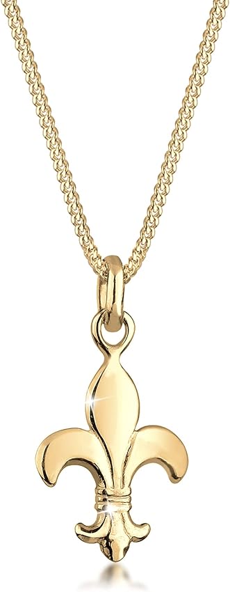 Thumbnail 5 de Elli Collares Iris Collar 45 cm plata 925