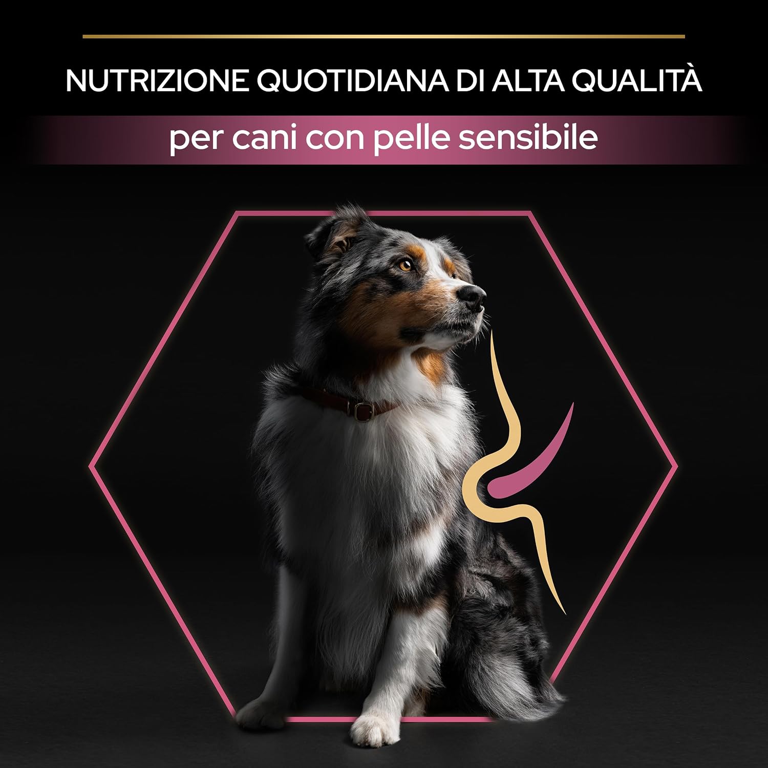 Detalle de Purina Pro Plan Optiderma Medium Adult Crocchette per Cane con Salmone 14kg