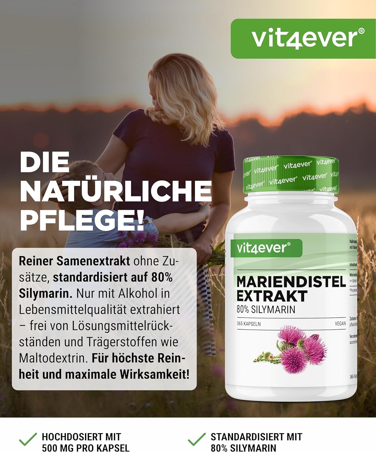 Thumbnail 1 de Vit4ever Mariendistel Extrakt 365 Kapseln – 500 mg pro Kapsel, 80% Silimarin, vegan, 12 Monate Vorrat