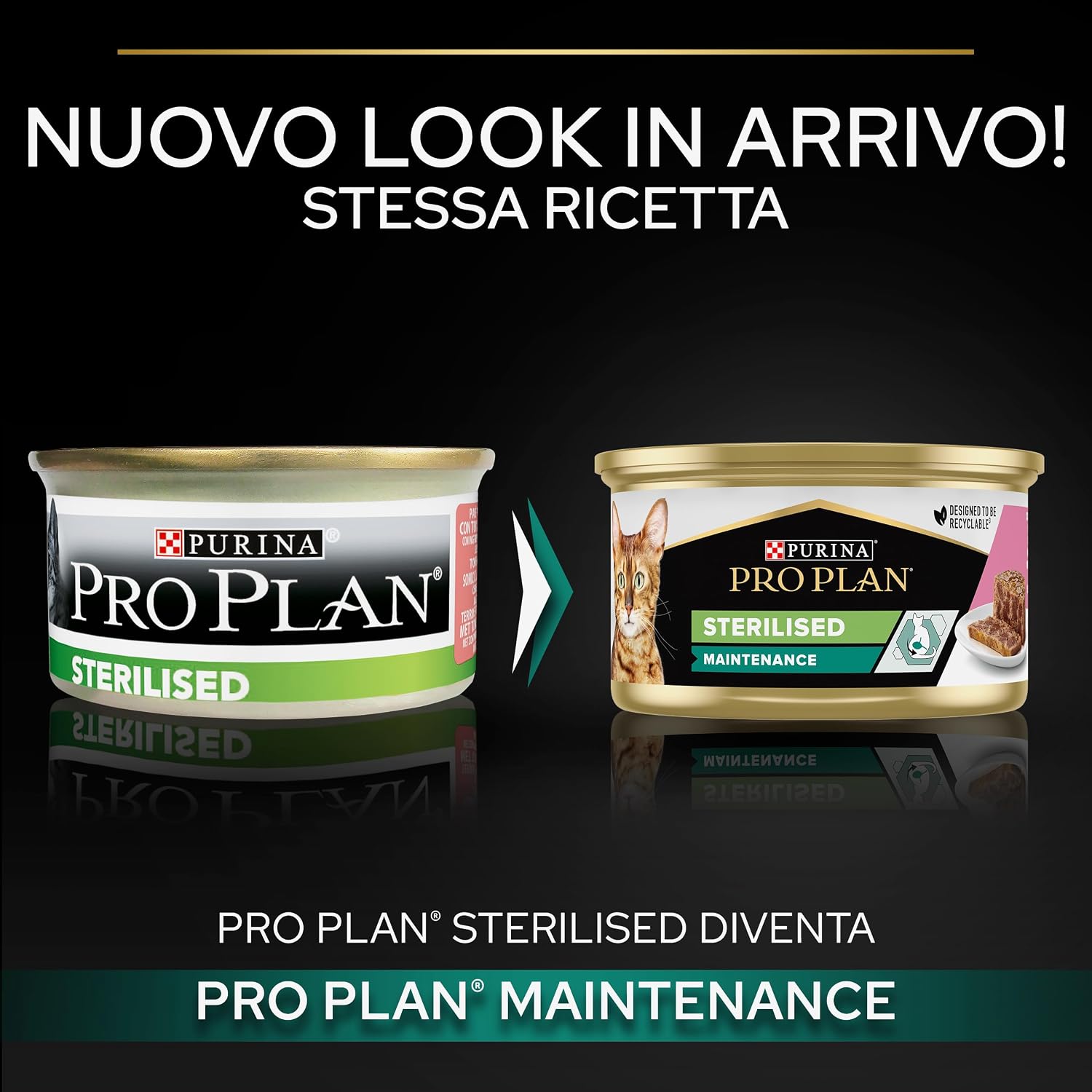 Detalle de Purina Pro Plan Sterilised Maintenance Cibo Umido per Gatti Sterilizzati – Patè Salmone e Tonno, 24 Lattine da 85 g