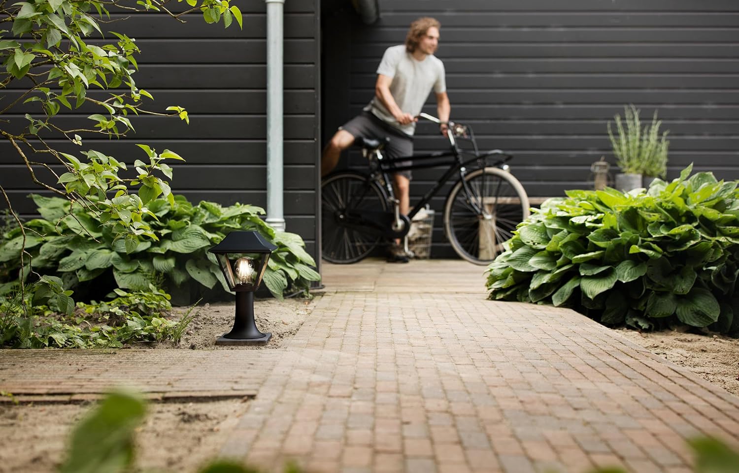 Thumbnail 4 de Philips Mygarden ALPENGLOW borne 60W