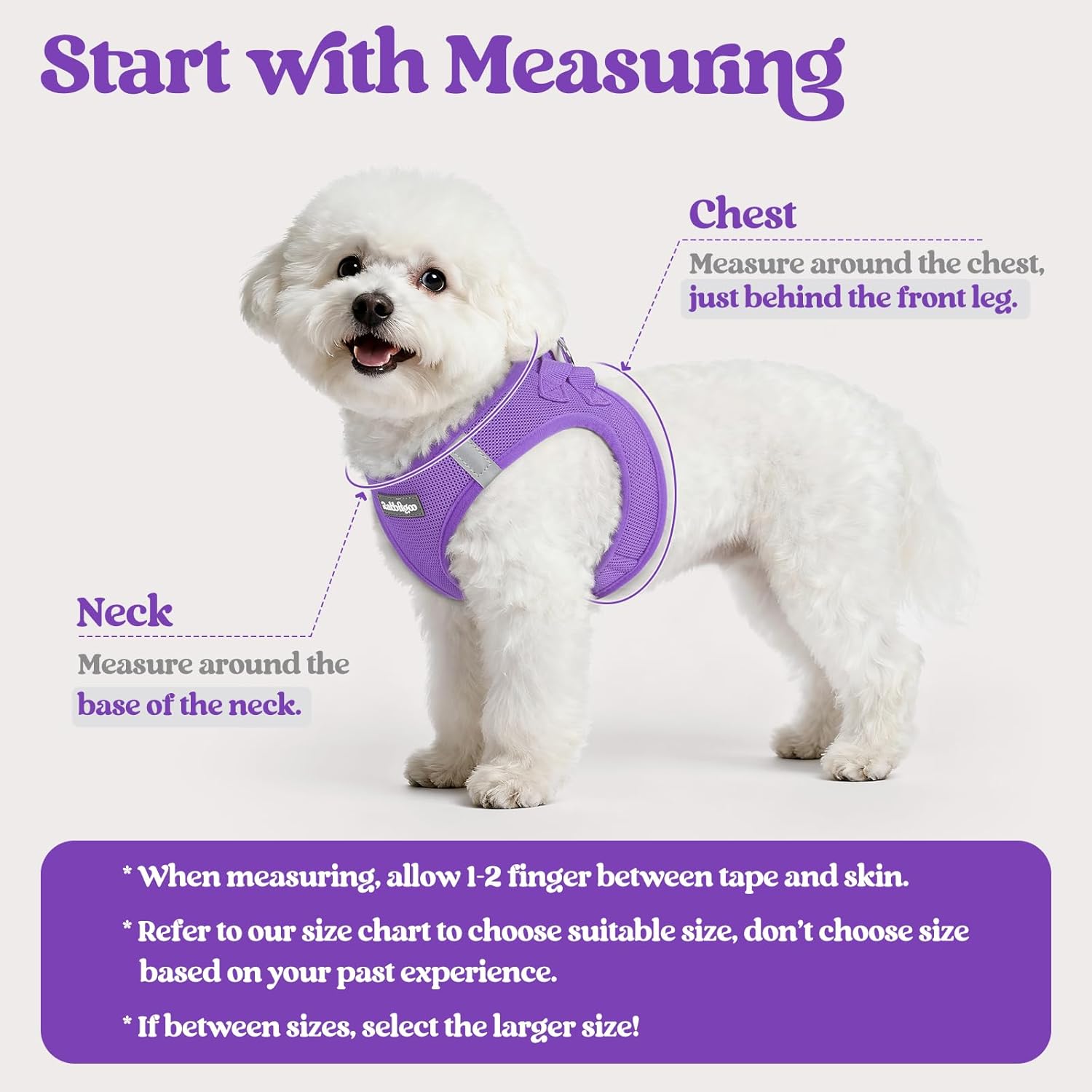 Detalle 2 de rabbitgoo Dog Harness M Set