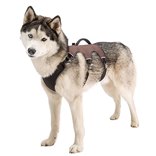 Detalle de Ferplast Harnais Grand Chien ERGOTREKKING LARGE, anti-évasion, 6 fermetures ⚙