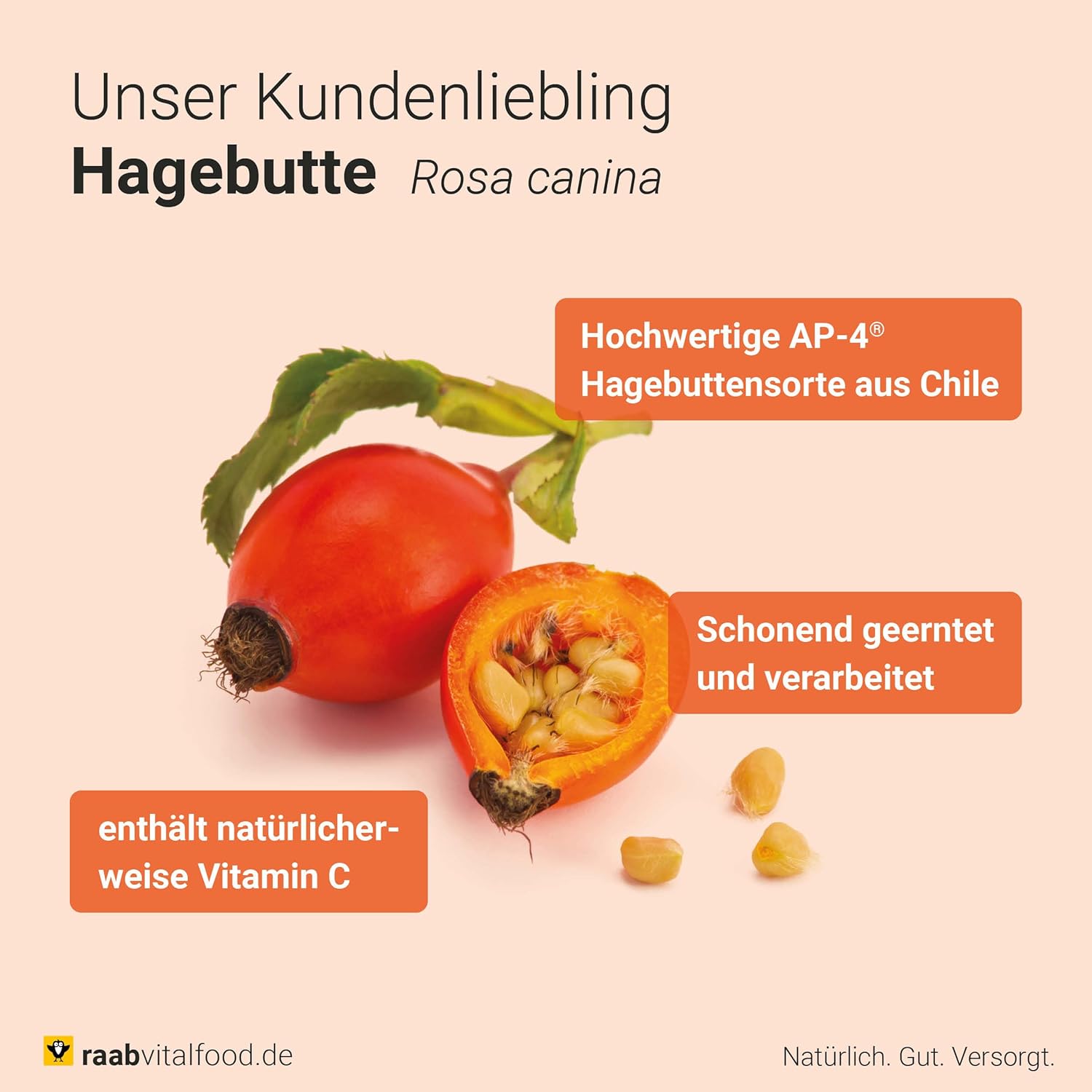 Detalle 2 de Raab Vitalfood Bio Hagebutten Pulver 250 g AP-4