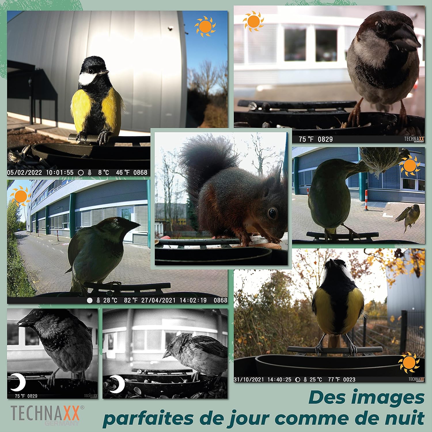 Thumbnail 2 de Technaxx Bird Feeder Camera Station TX-165 (Full HD) with Treat Hanging and 150 g food box