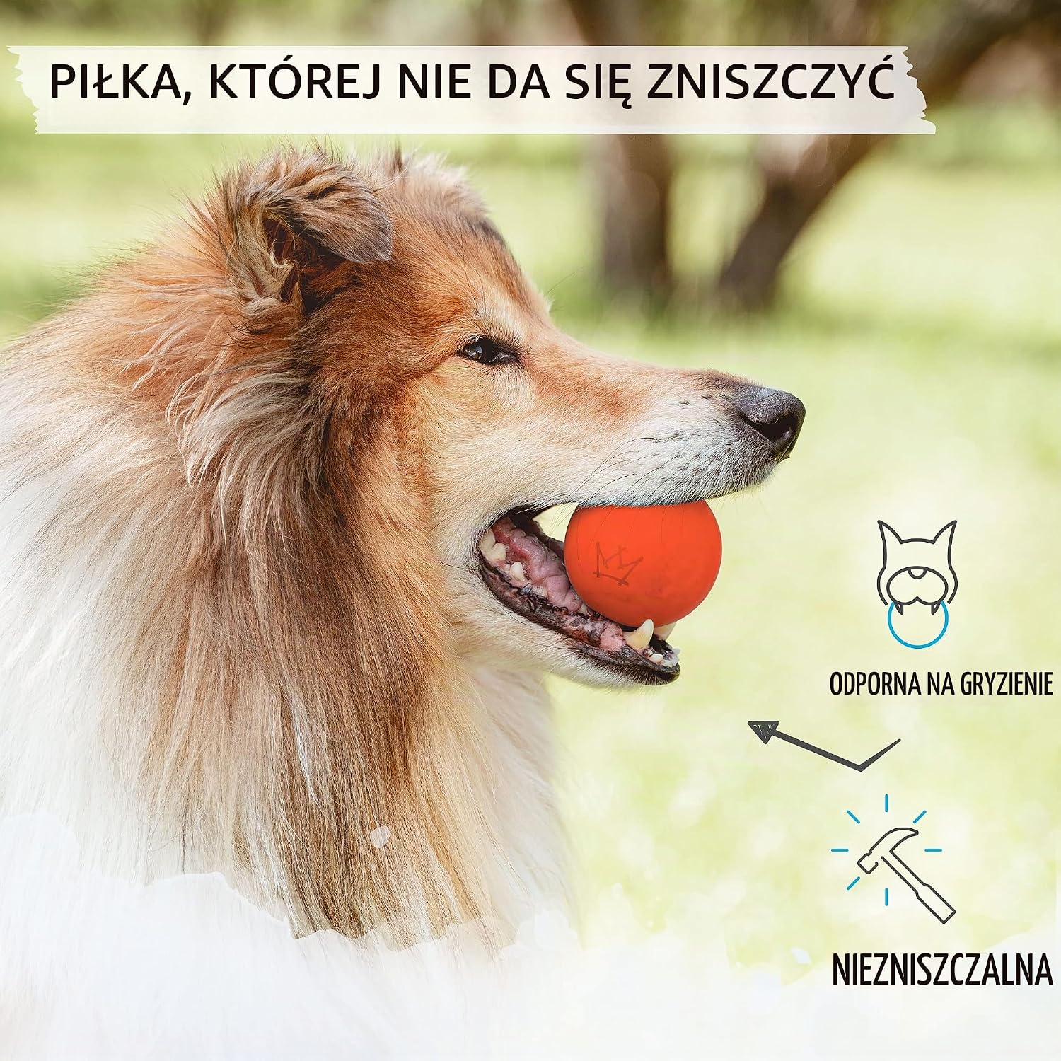Detalle de Rudelkönig piłka dla psa z naturalnego kauczuku, 6,5 cm, z torbą