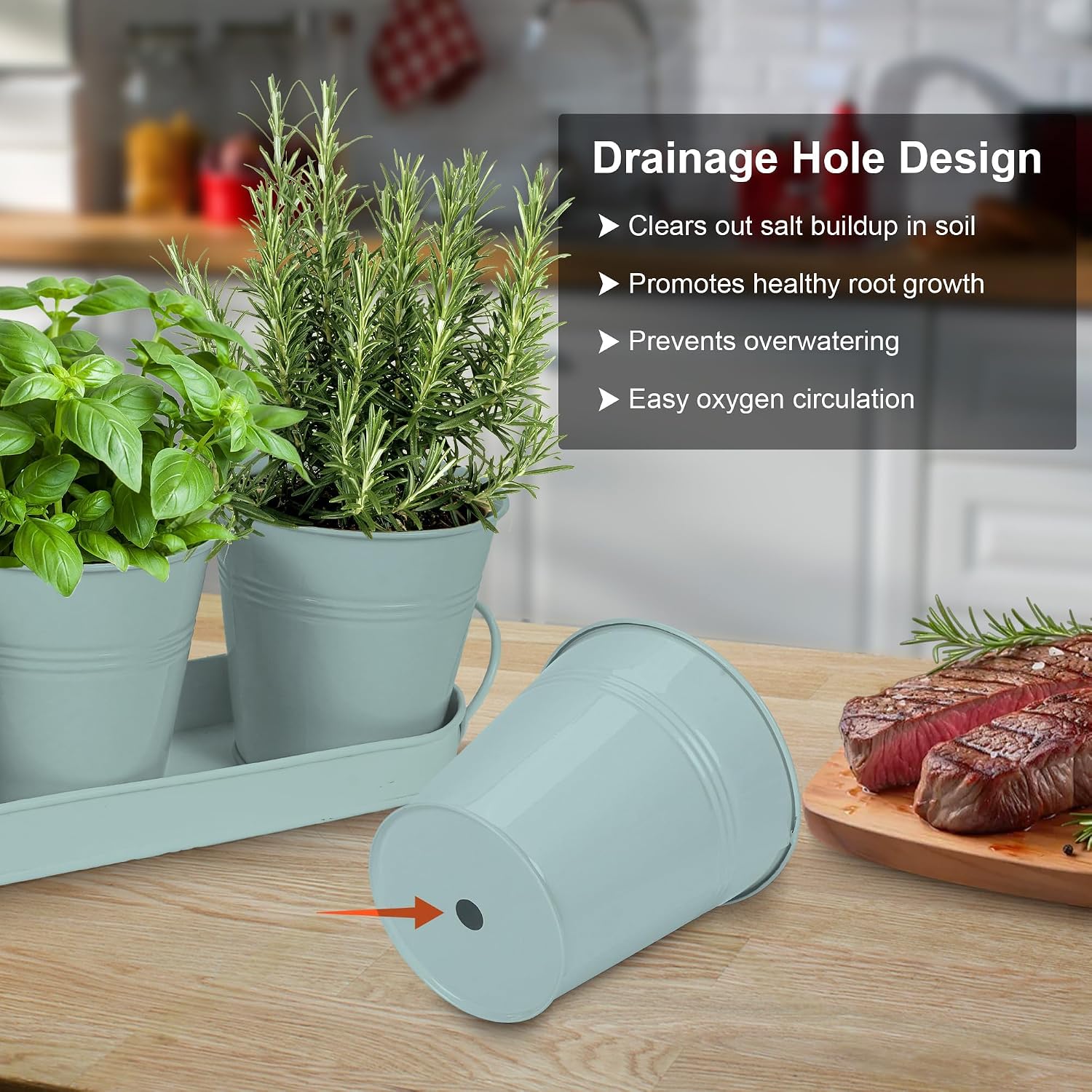 Detalle 2 de Wacloud Indoor Herb Planter, Metal