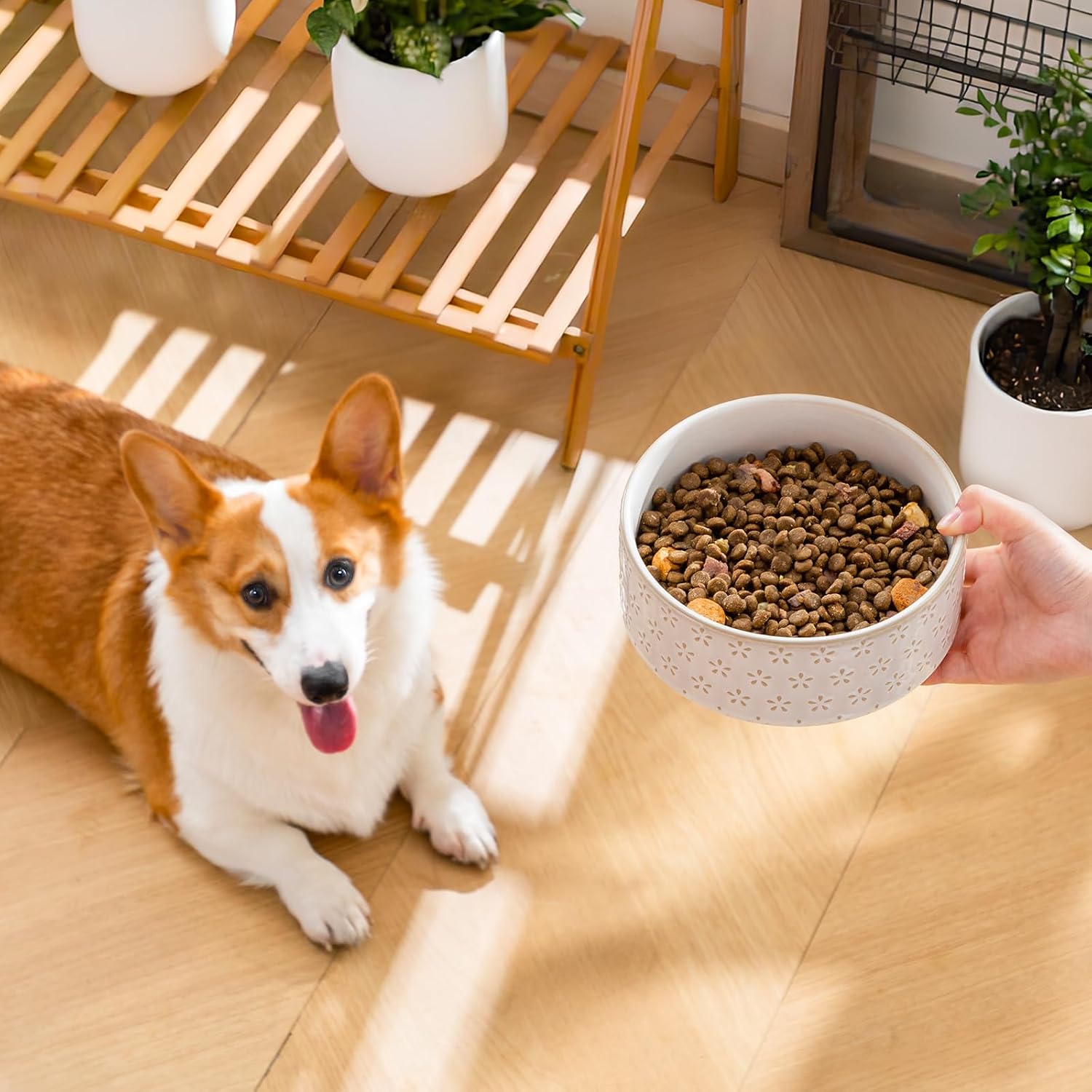 Detalle de MALACASA Hundenapf aus Steingut, 1000 ml – Futter- & Wassernapf für mittelgroße Hunde, spülmaschinen- und mikrowellengeeignet, Lydia-Serie