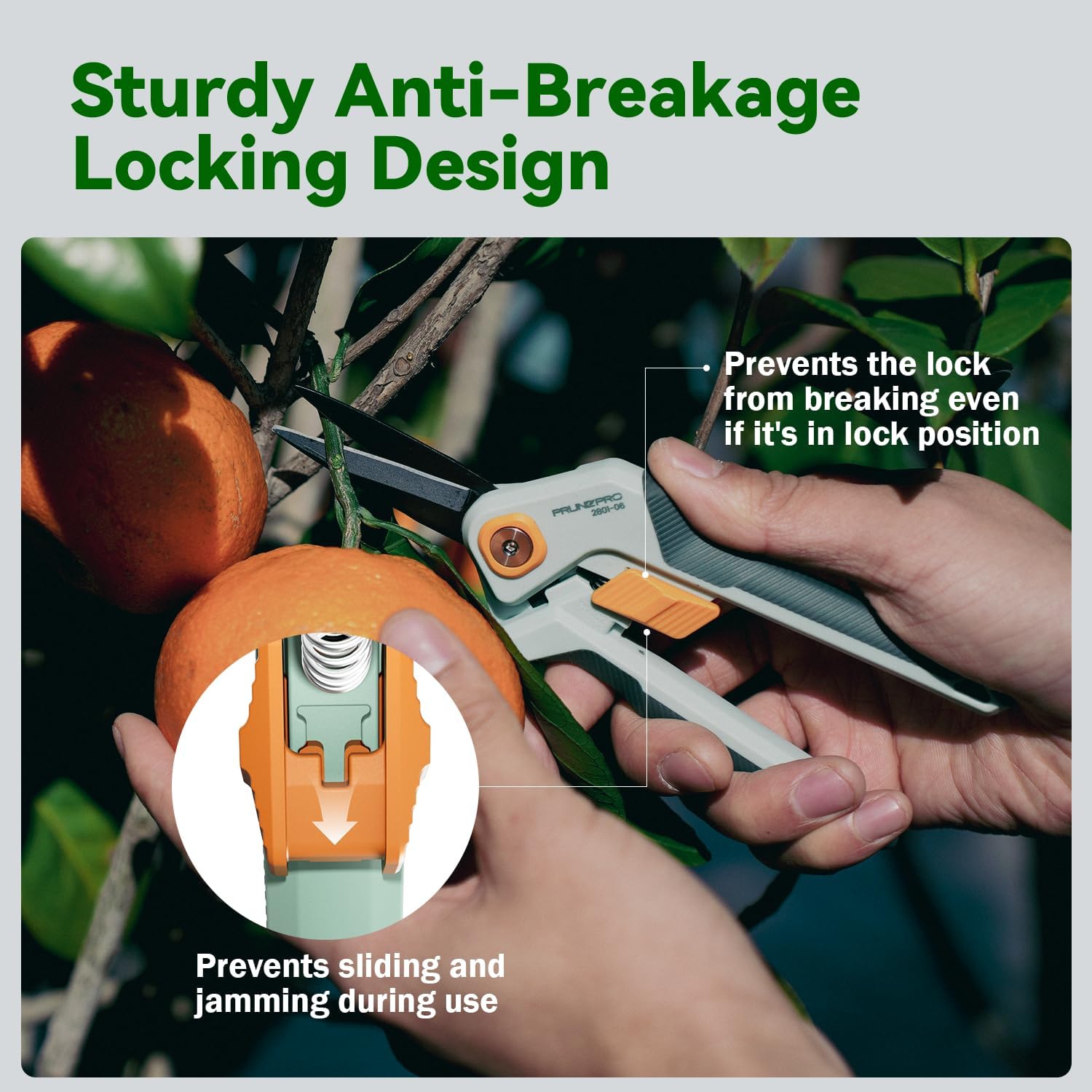 Detalle de PrunePro PP-2801-06 Bypass Pruning Shears with Teflon-Coated Steel Blades