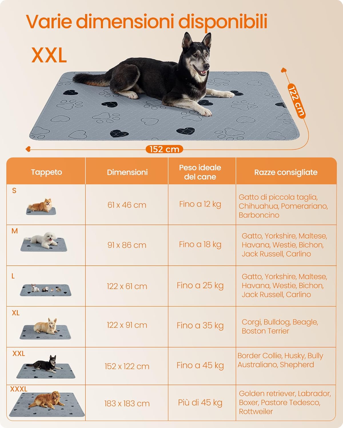 Thumbnail 4 de Feandrea PTD048G01 Tappeto XXL 152x122 cm