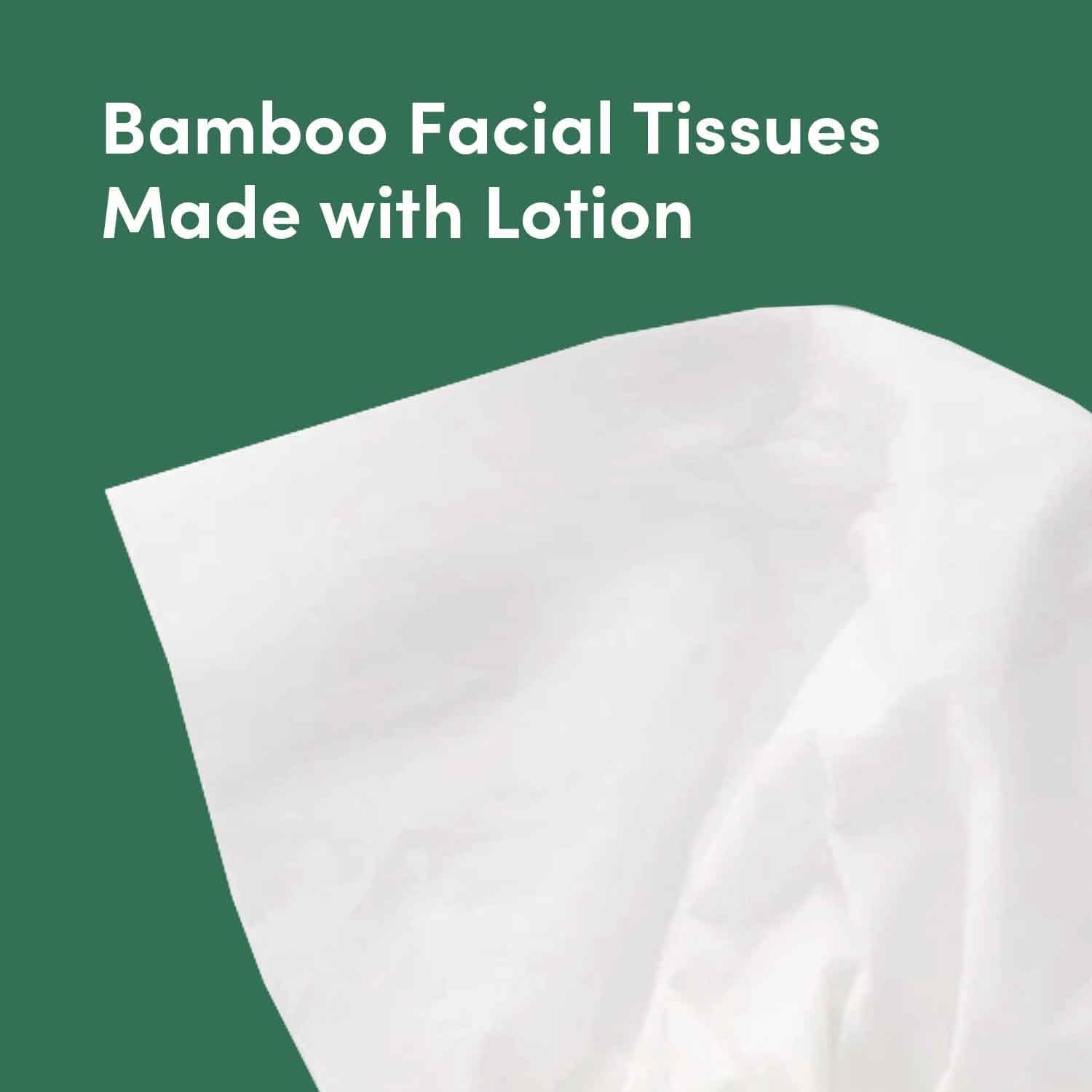 Detalle de Amazon Aware Bamboo Facial Tissues with Lotion, 3-Ply, FSC Certified, 12-Pack (60 Sheets per Box, 720 Total)